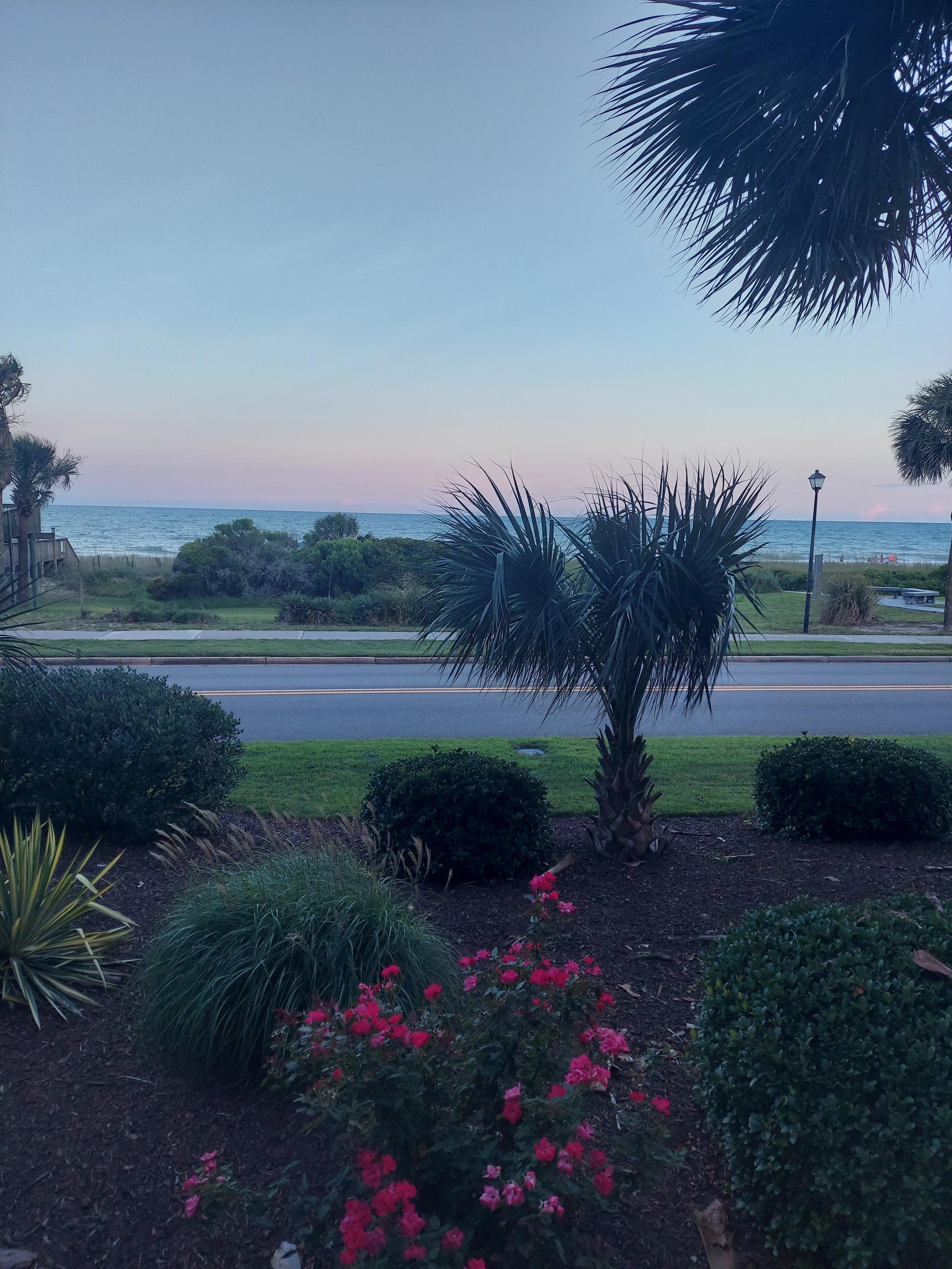 view from the balcony 