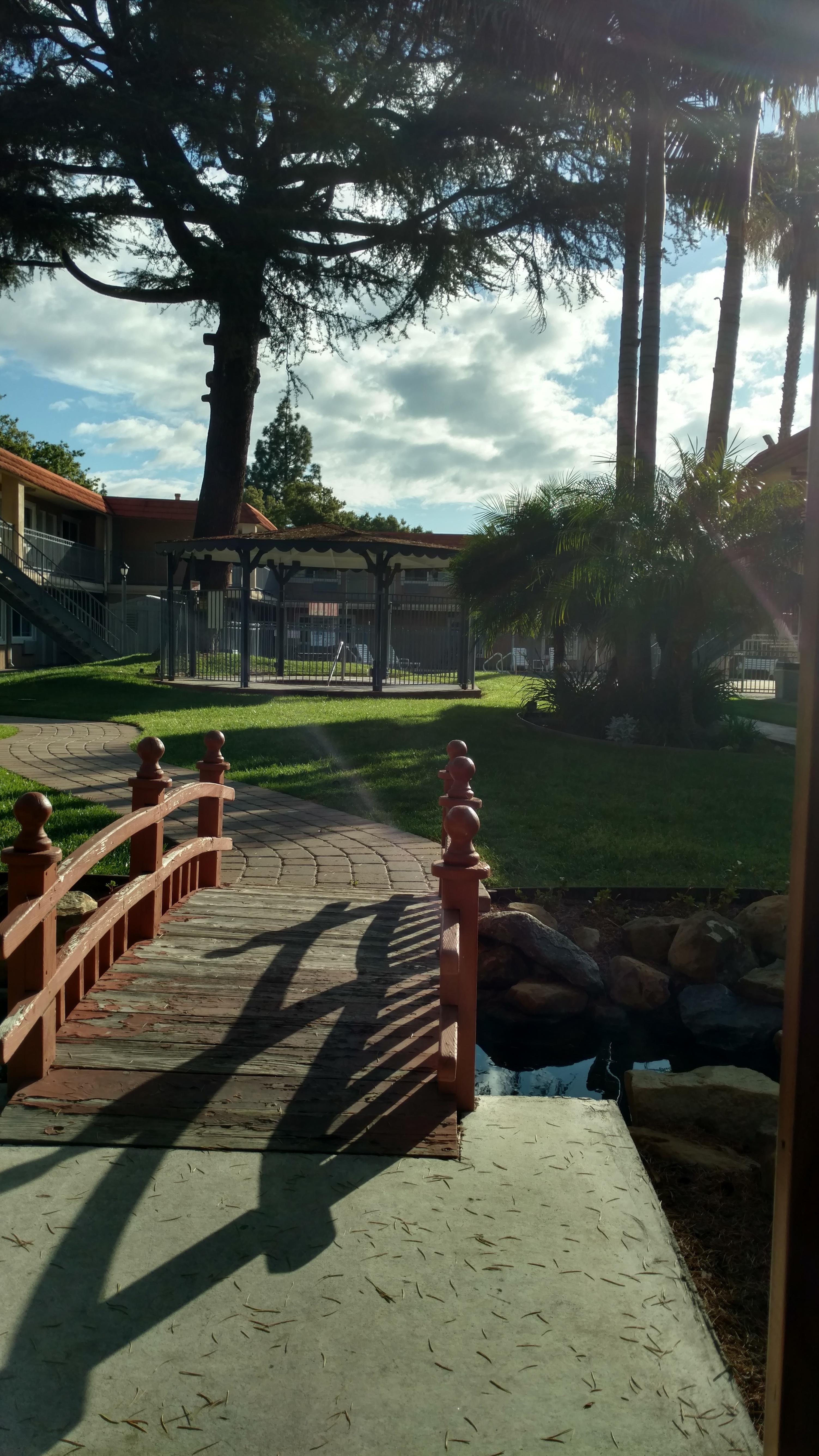 Court yard