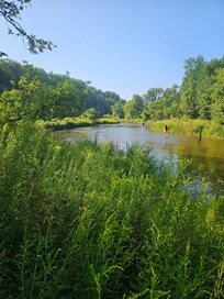 View from the deck