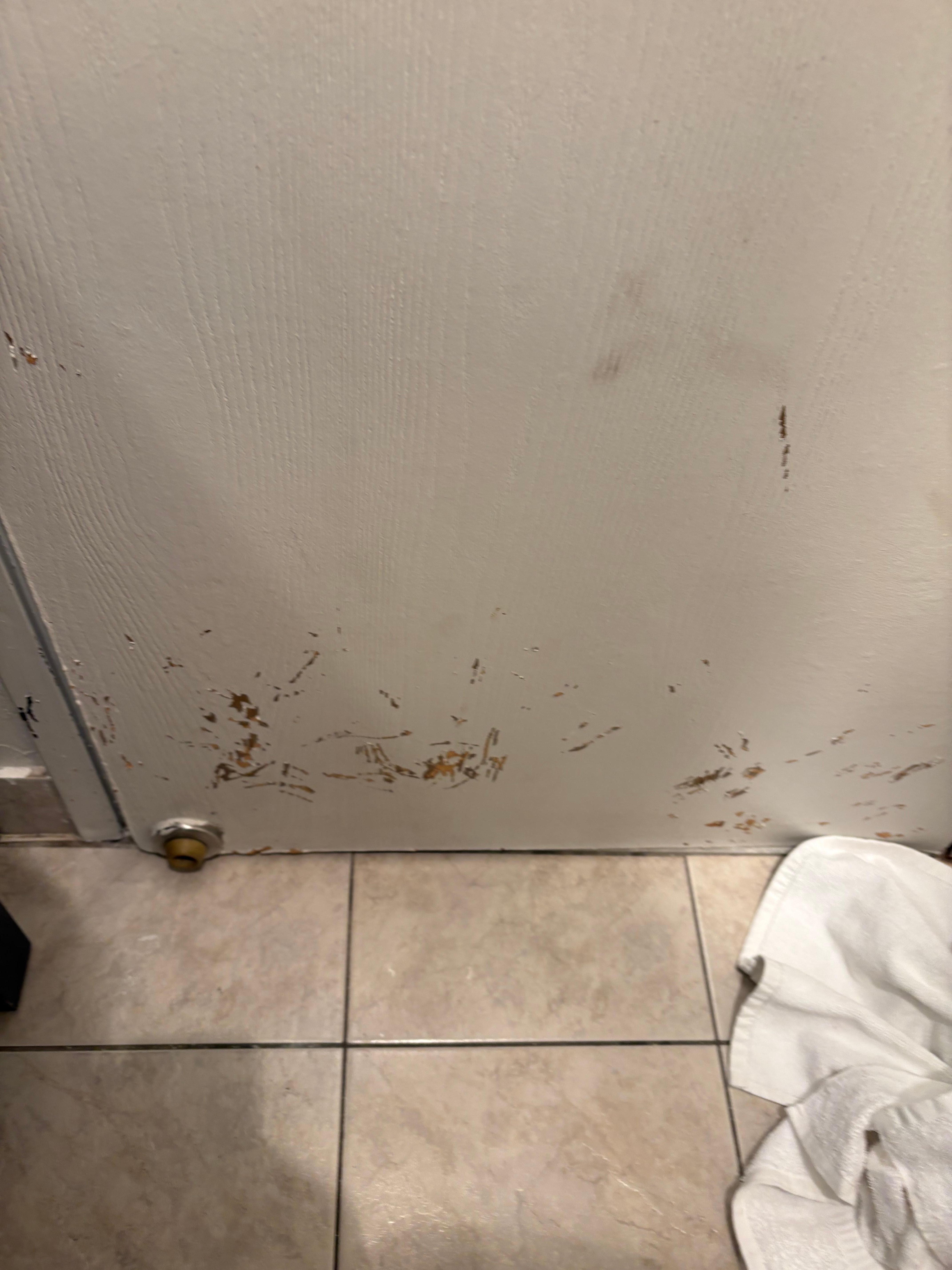 Apparently this must be an animal room. 