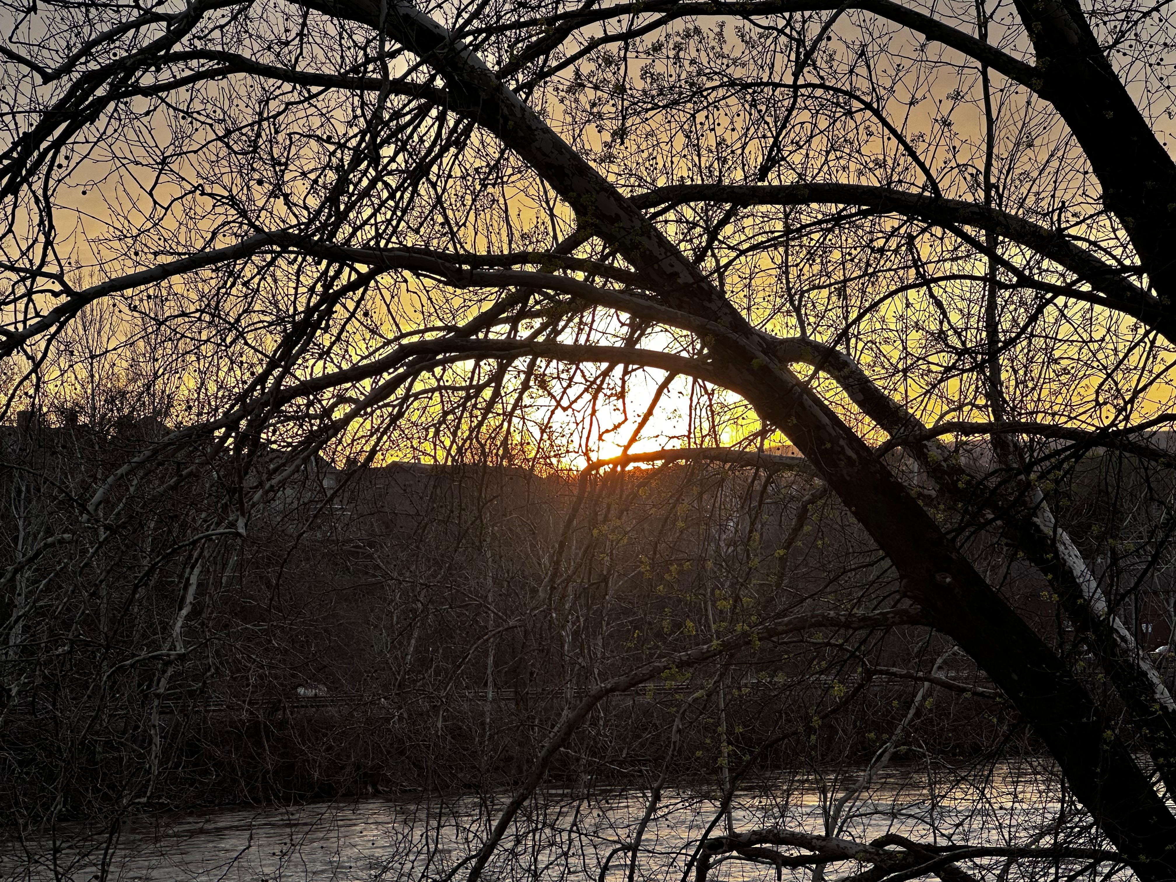 Sunrise from the outdoor breakfast balcony!