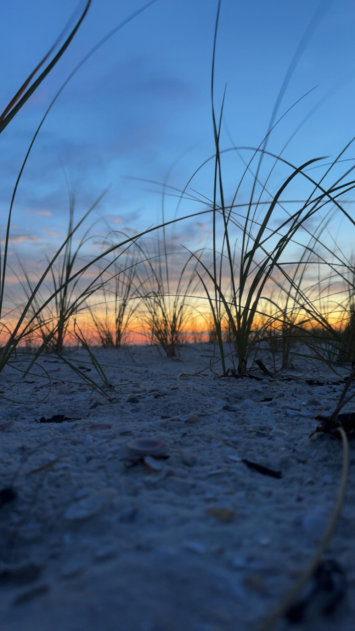 Sunset from the sand dunes at 14th Street