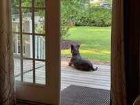 Our doggo loved the cottage's front porch