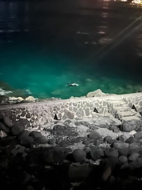 Manta Ray feeding at night.