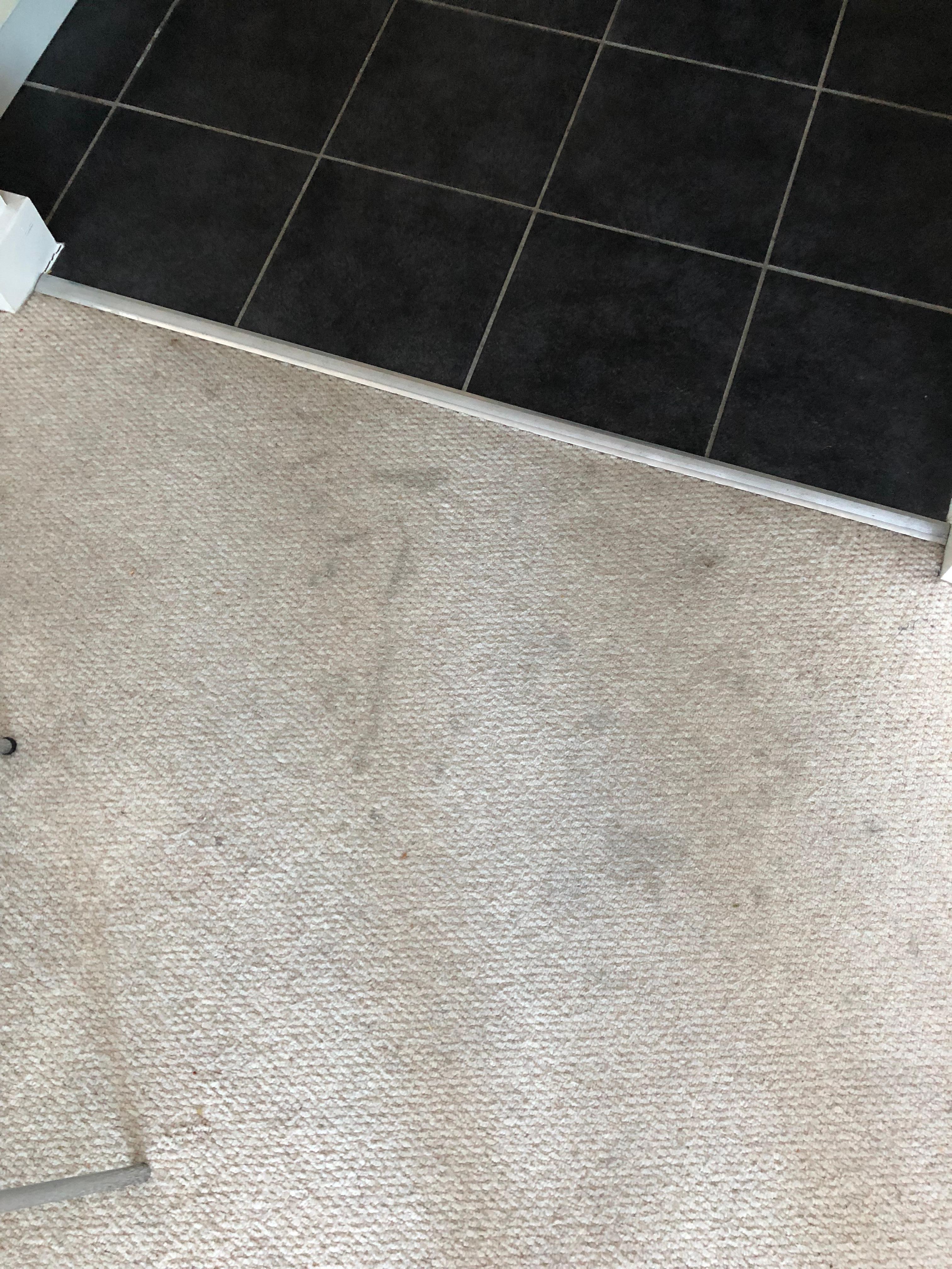 Every carpet stains so heavily and lots of crumbs too that if a Hoover had been used would not be there! 