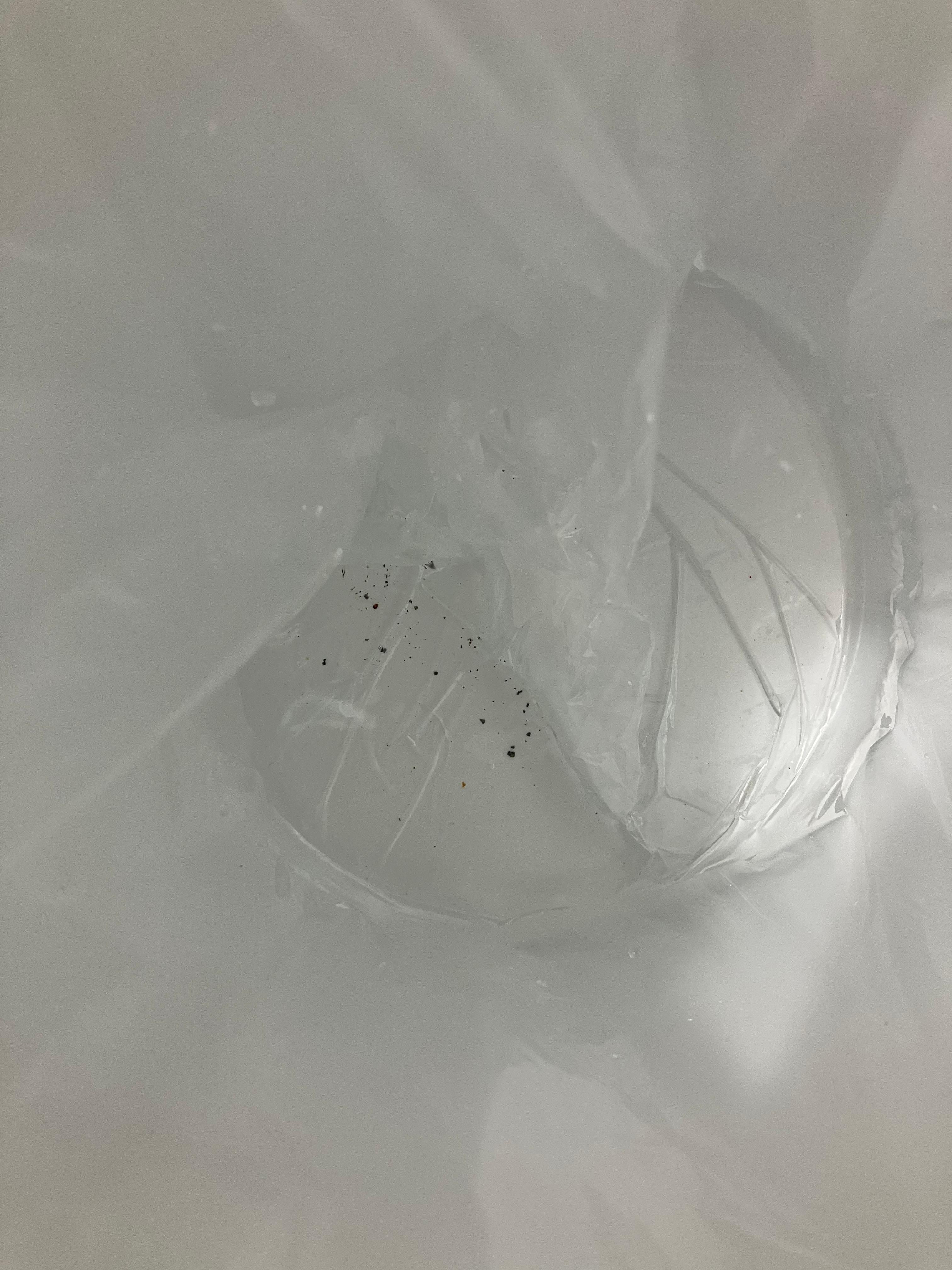 Black particles from thawed ice cubes from machine 