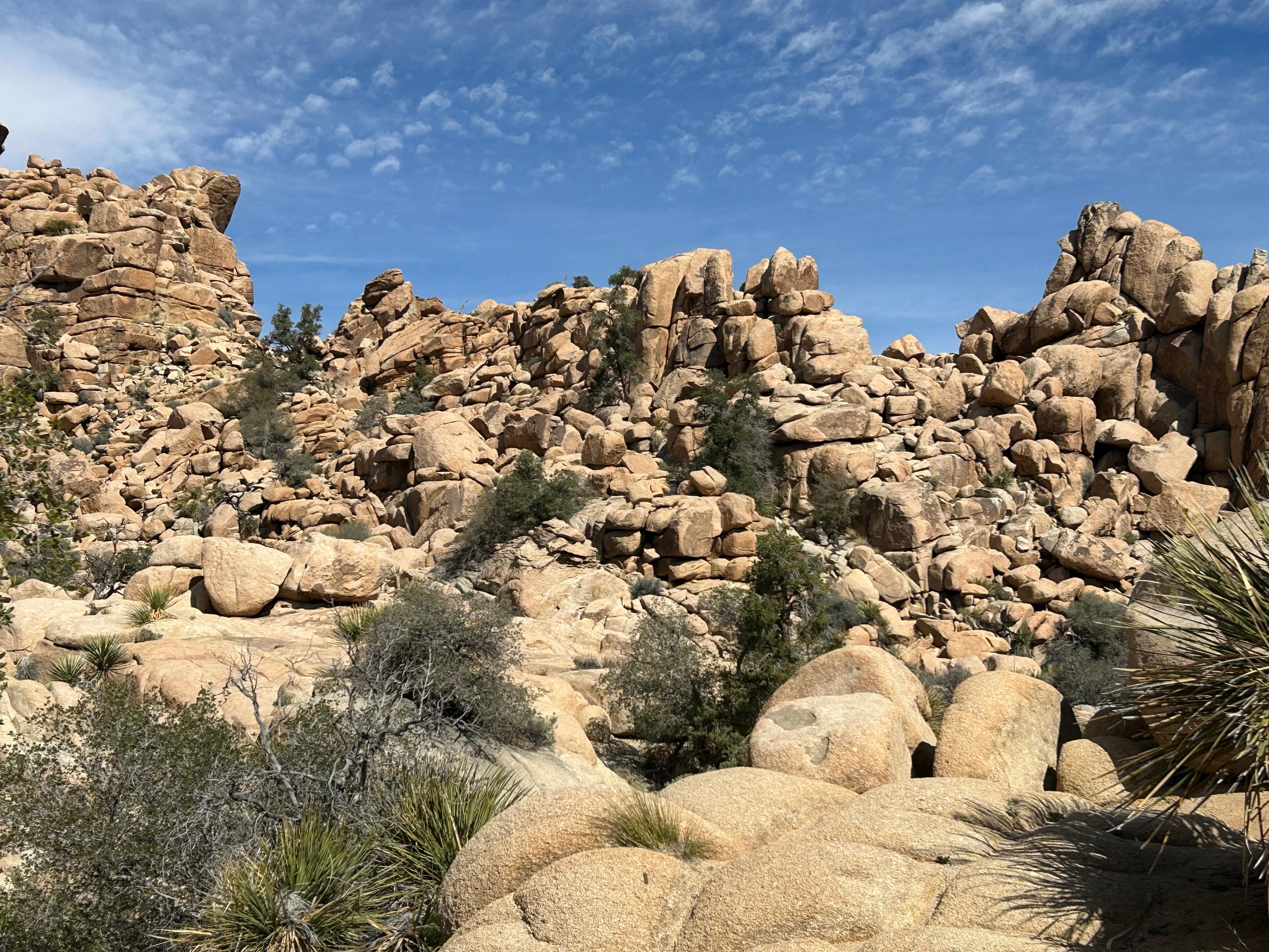 Sorry, not of the house, but it was the main attraction!