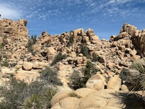 Sorry, not of the house, but it was the main attraction!