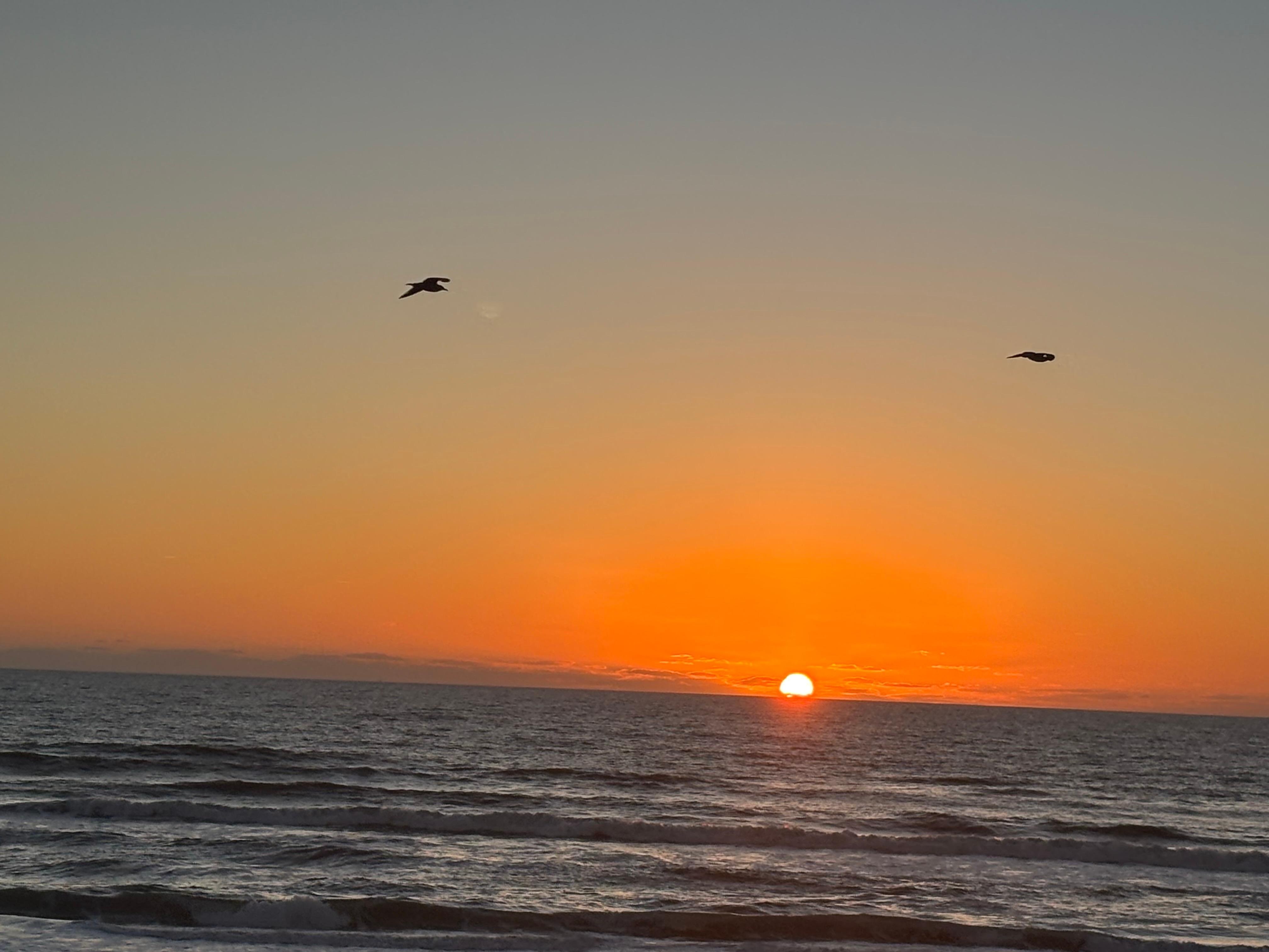 Sunrise