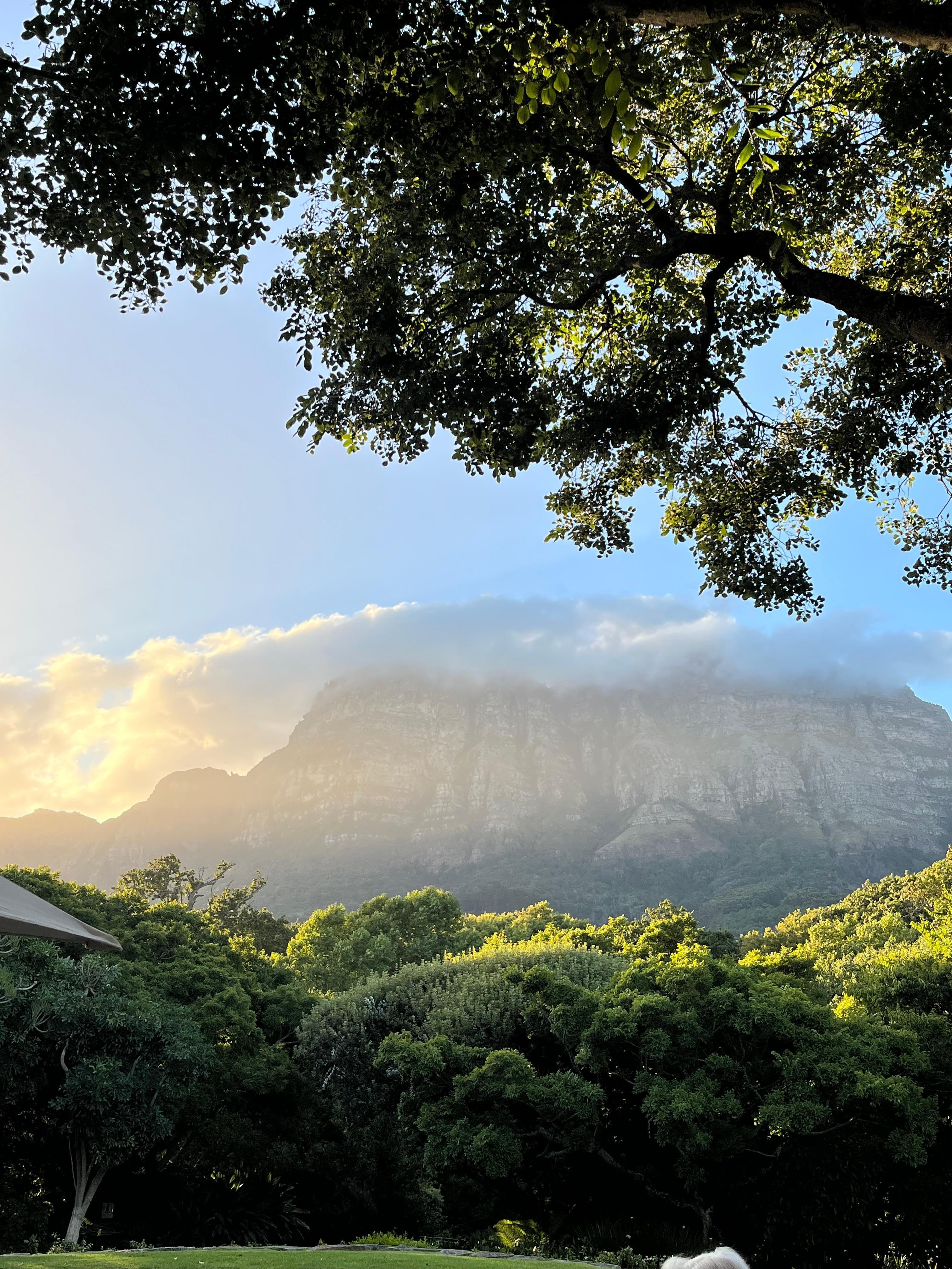 View of Table Mountain during evening cocktails while on patio restaurant
