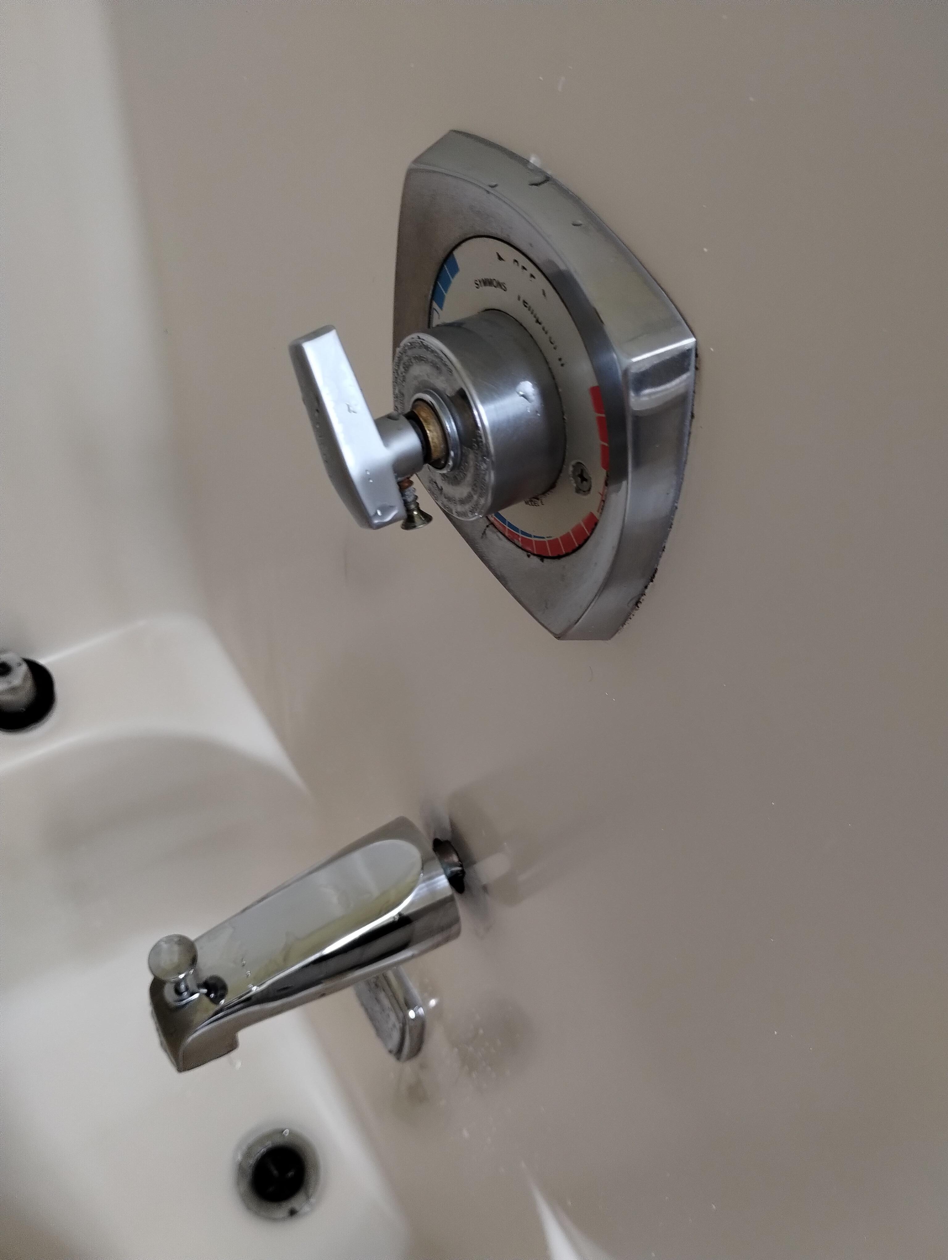 Missing shower control fixture.