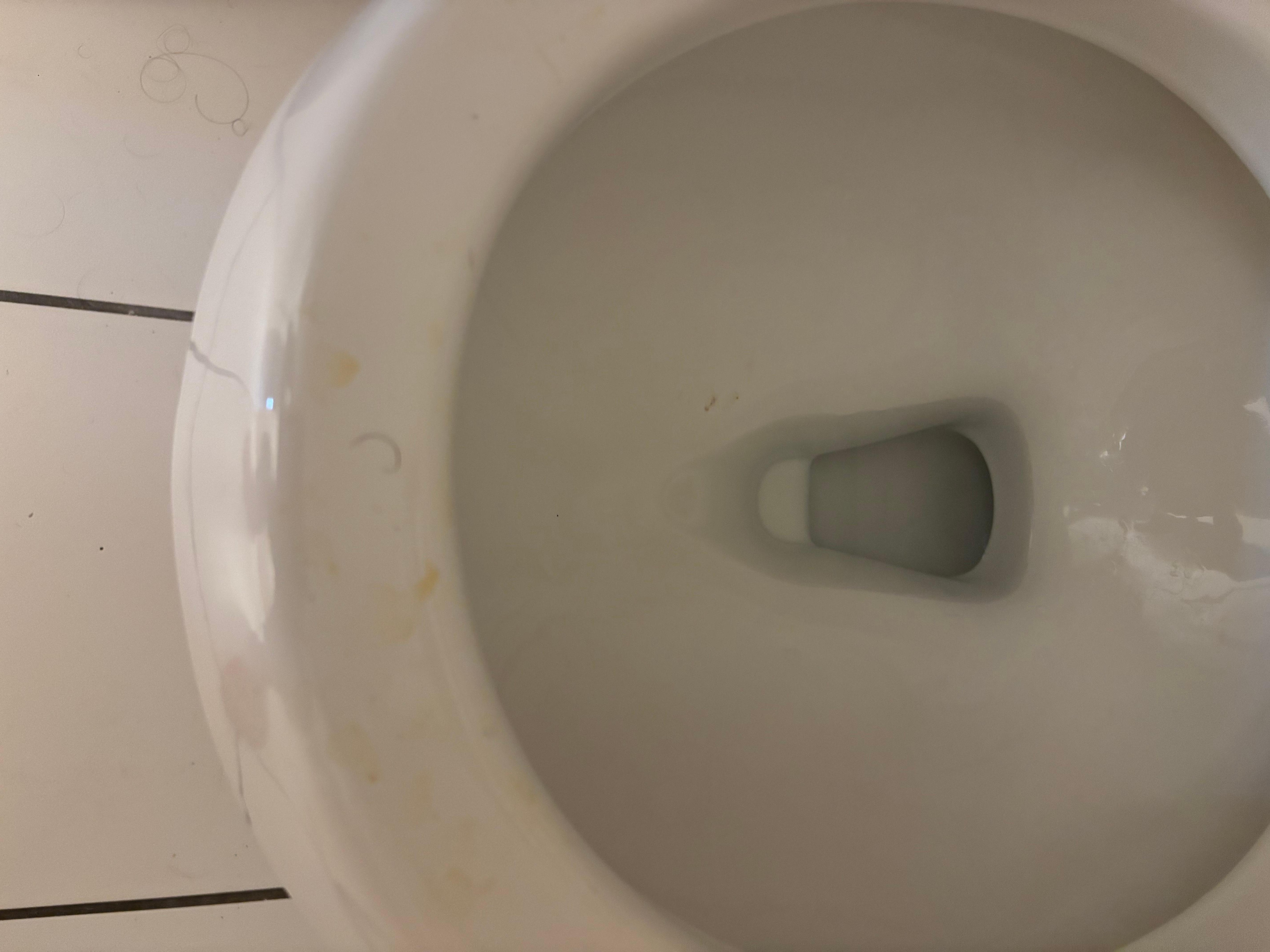 urine on toilet seat