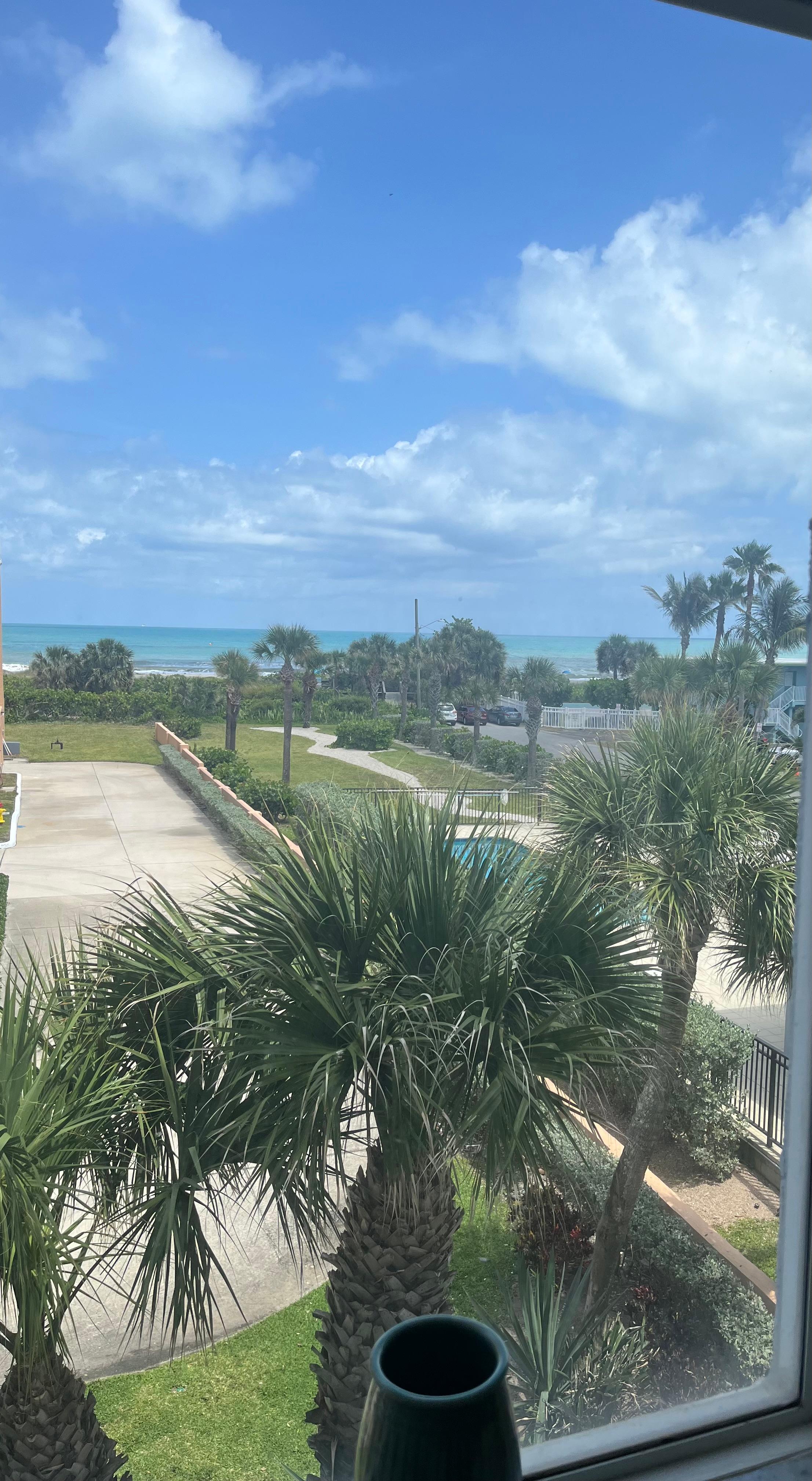 View from living room window