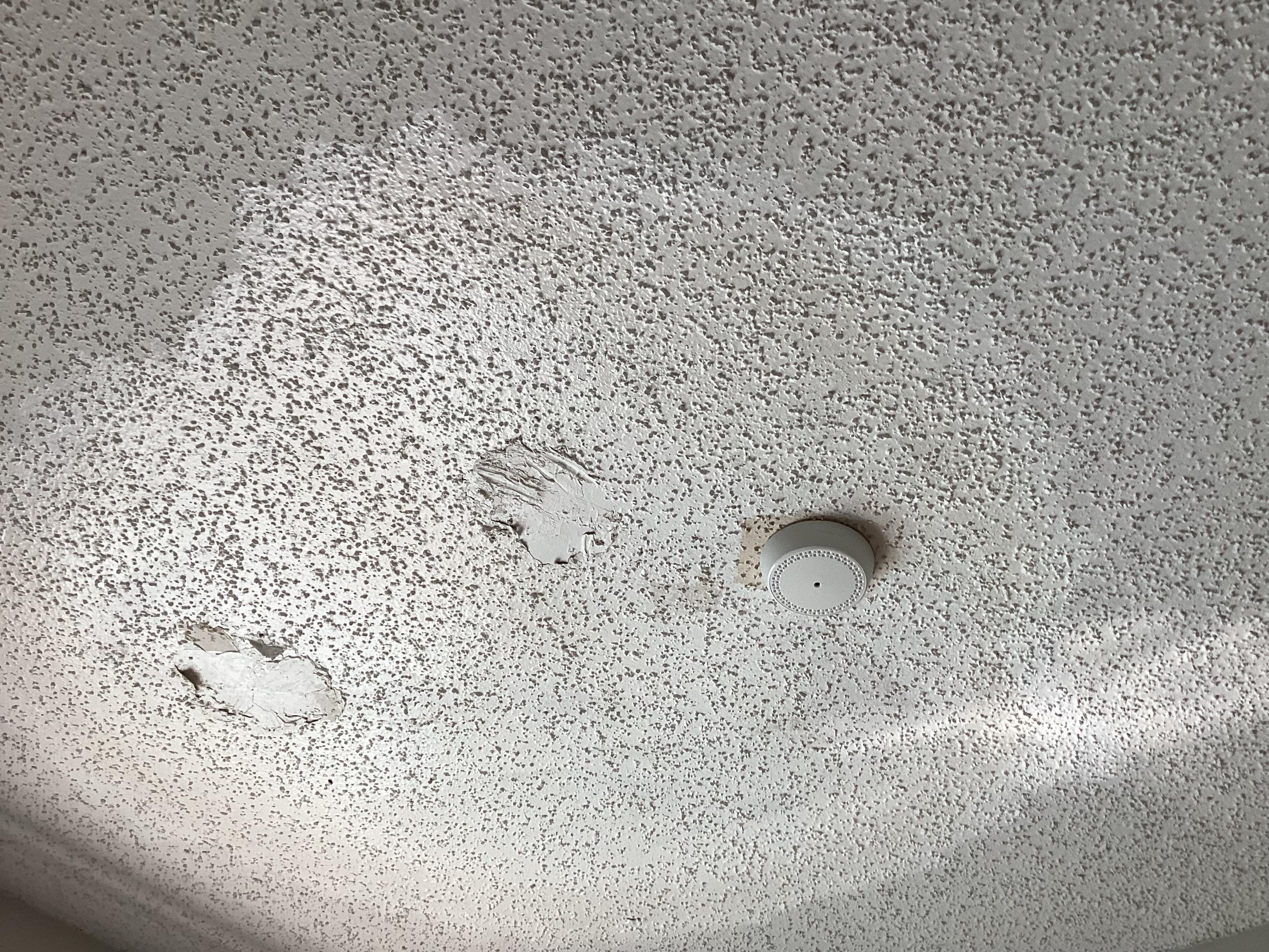 Dead smoke detector, poorly repaired previous water leak