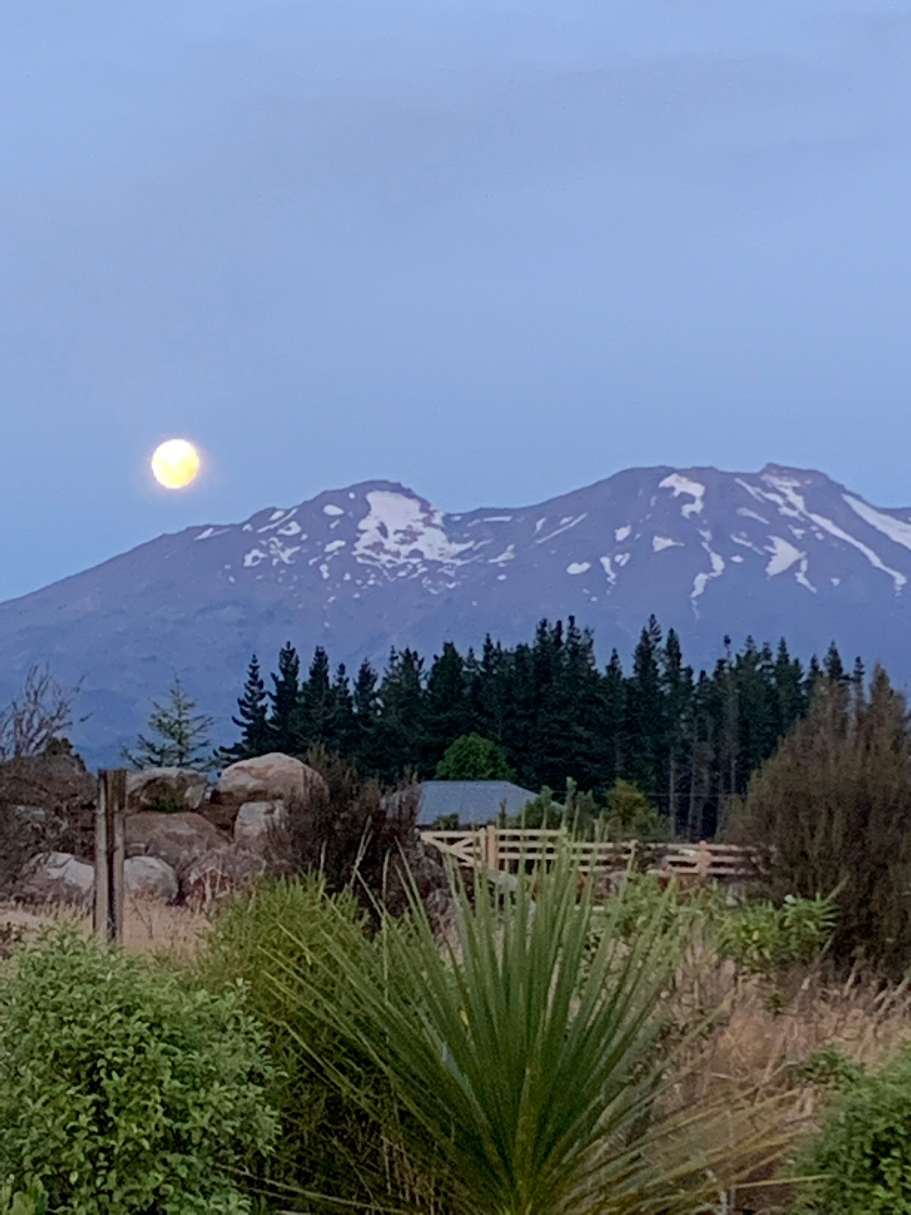 Moon rise 