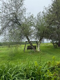 Backyard bench swing
