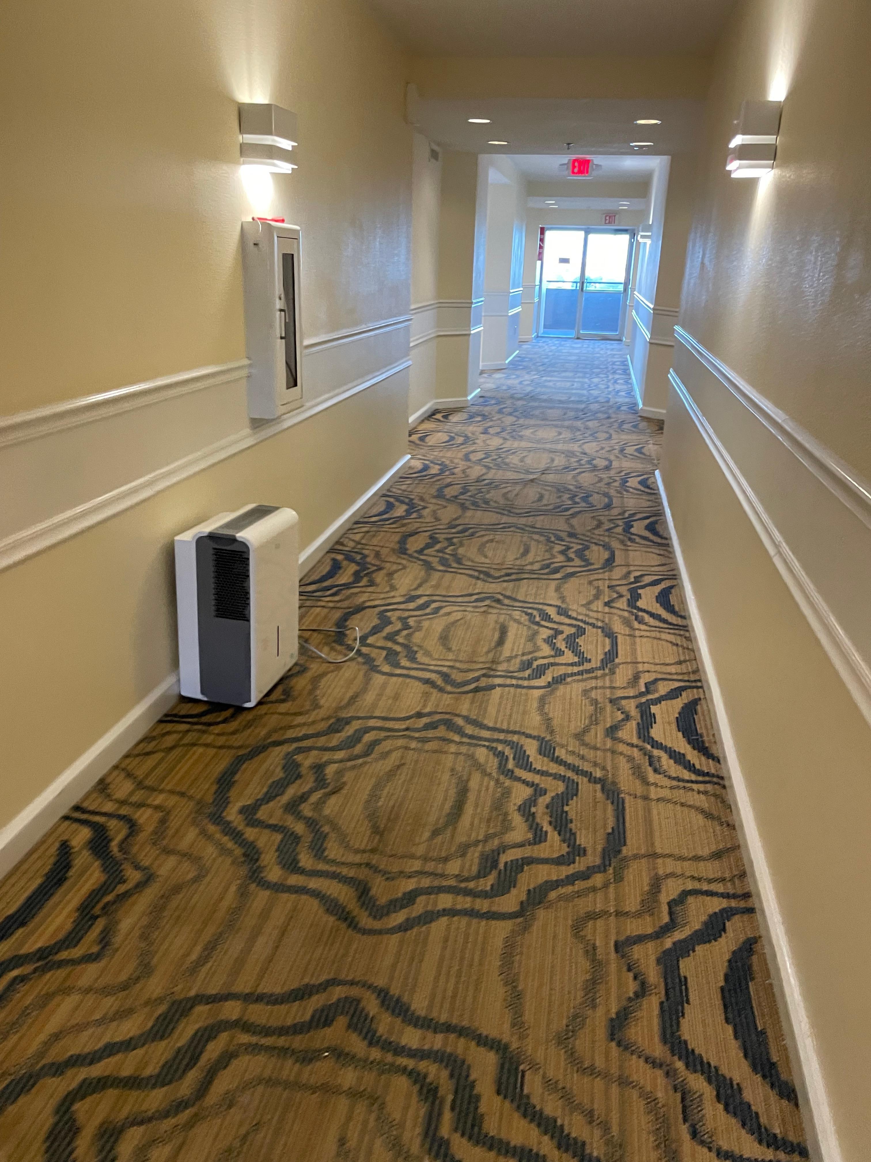 They try to remove the humidity from the halls with these small machines 🤡