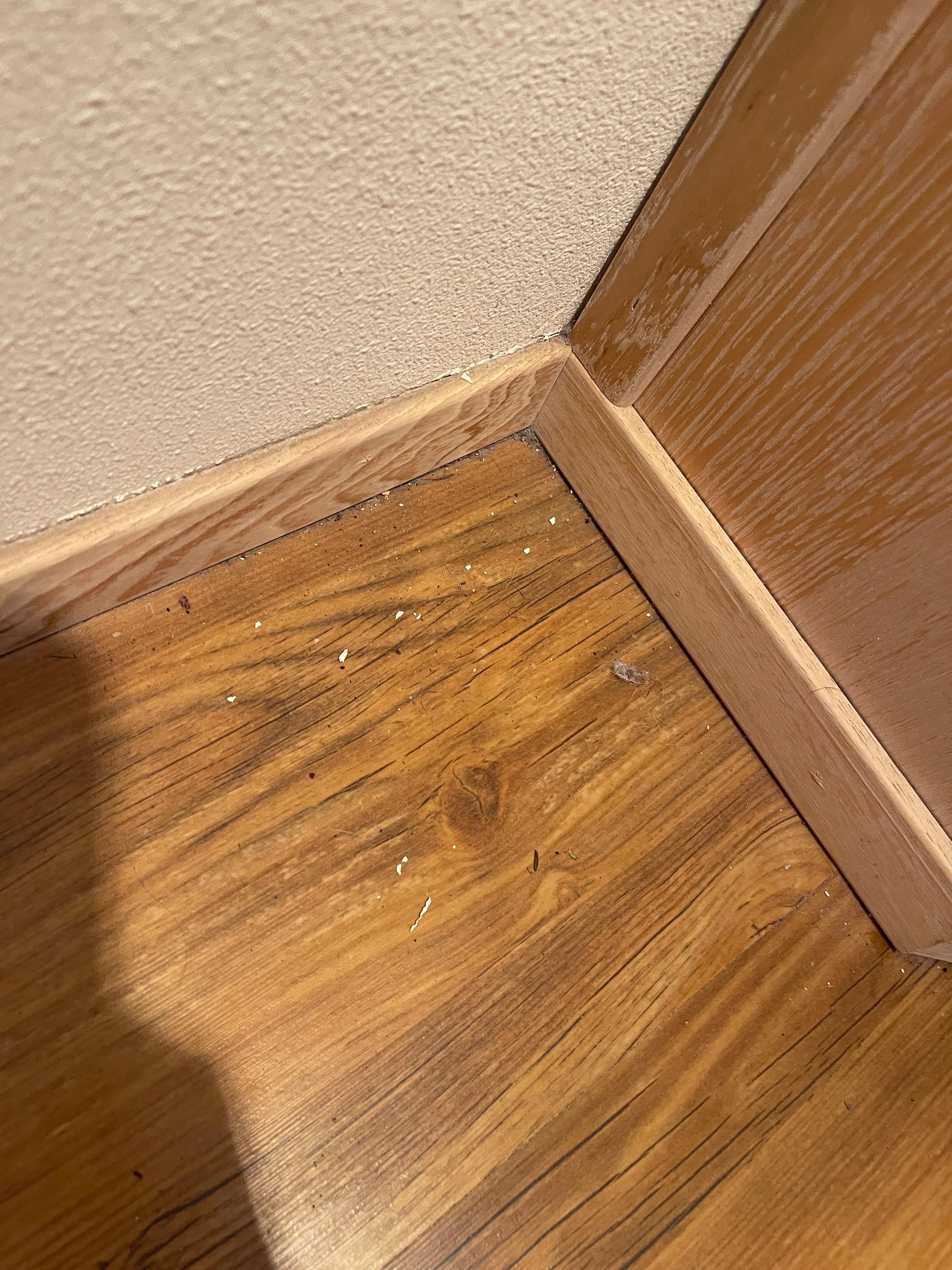 Debris on floor of bathroom 
