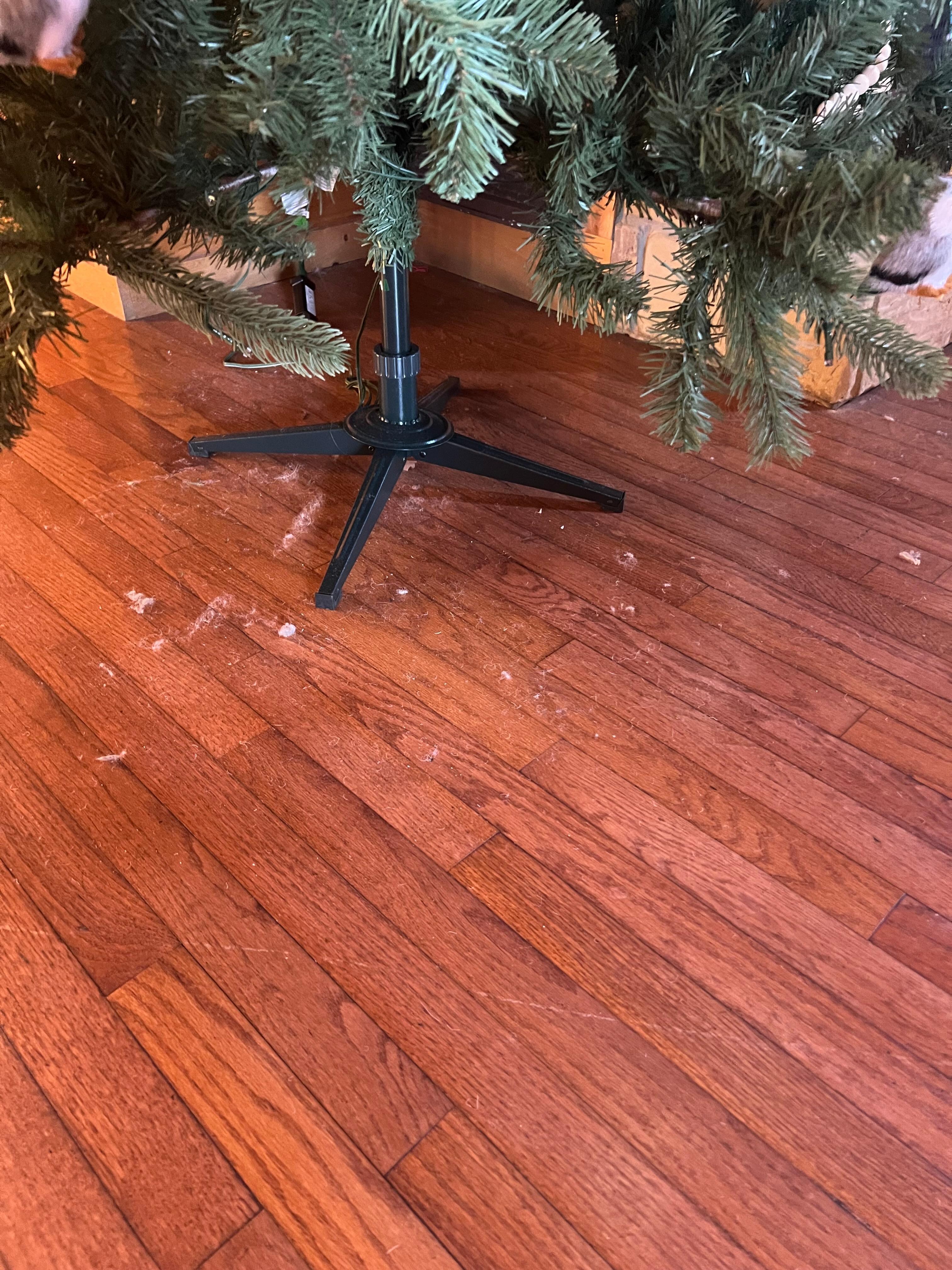 Dust bunnies everywhere 