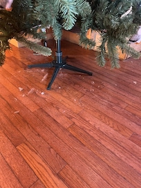 Dust bunnies everywhere