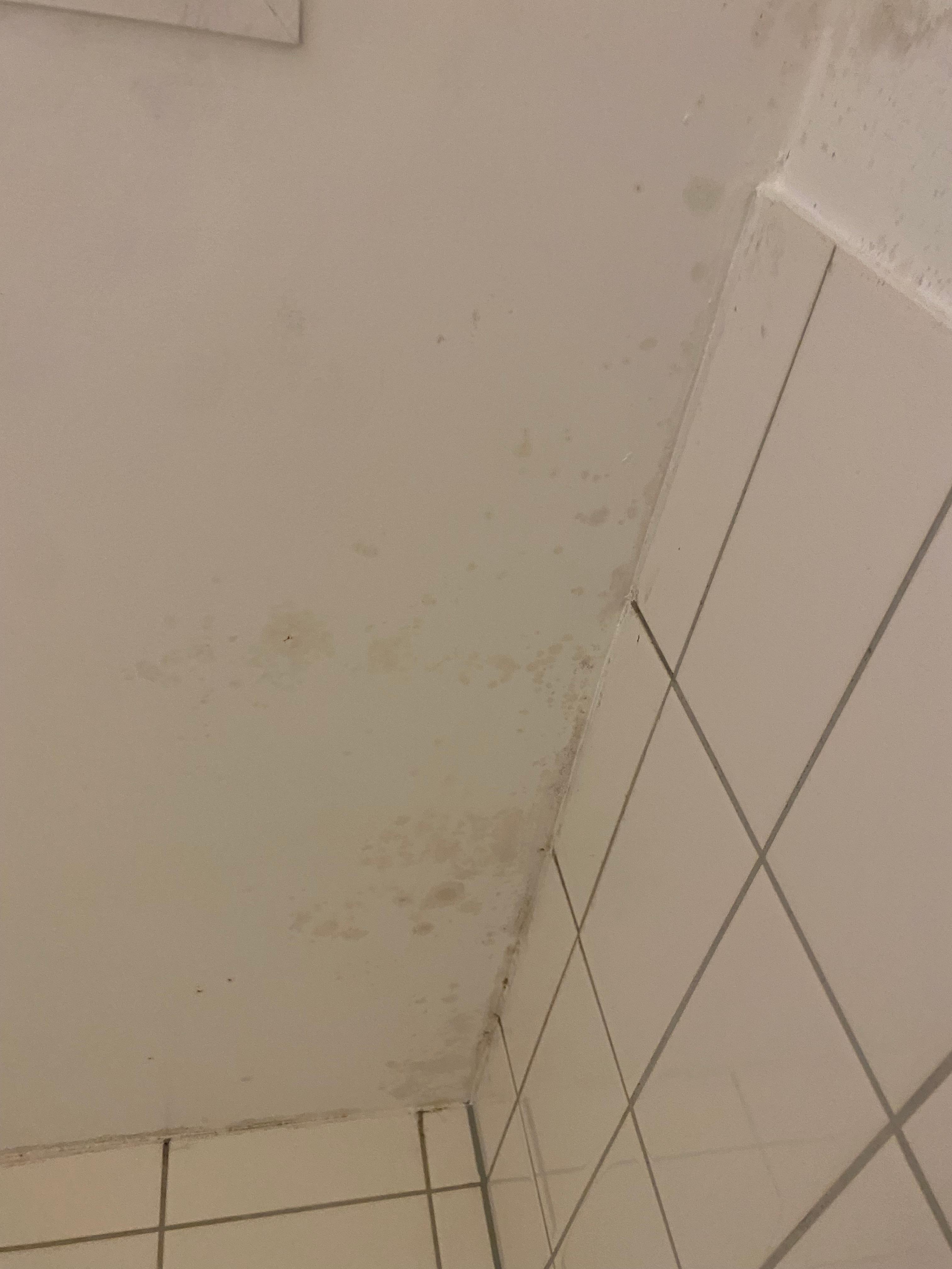 Bathroom mould 