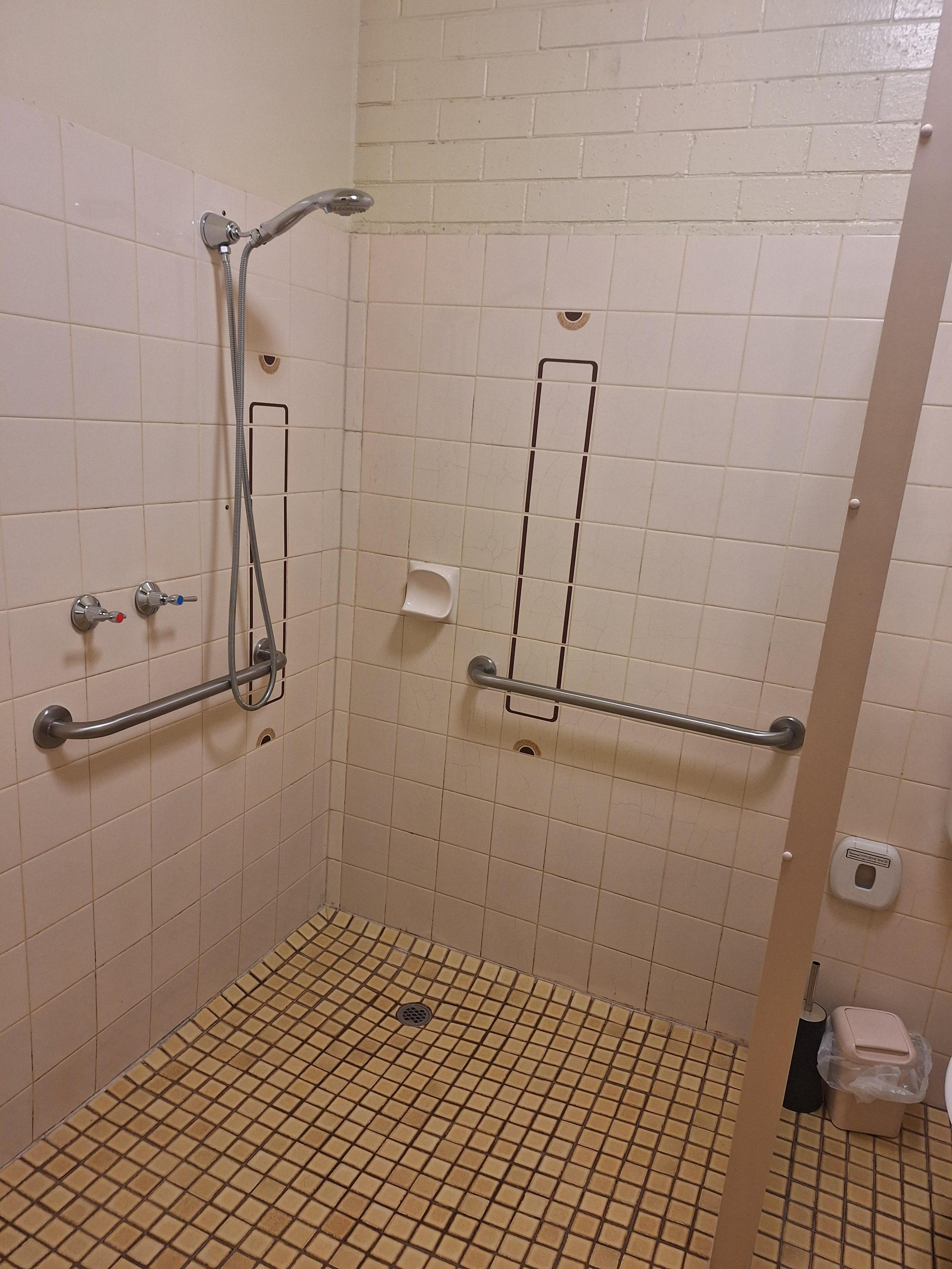 Dirty walls and shower. Did not use shower