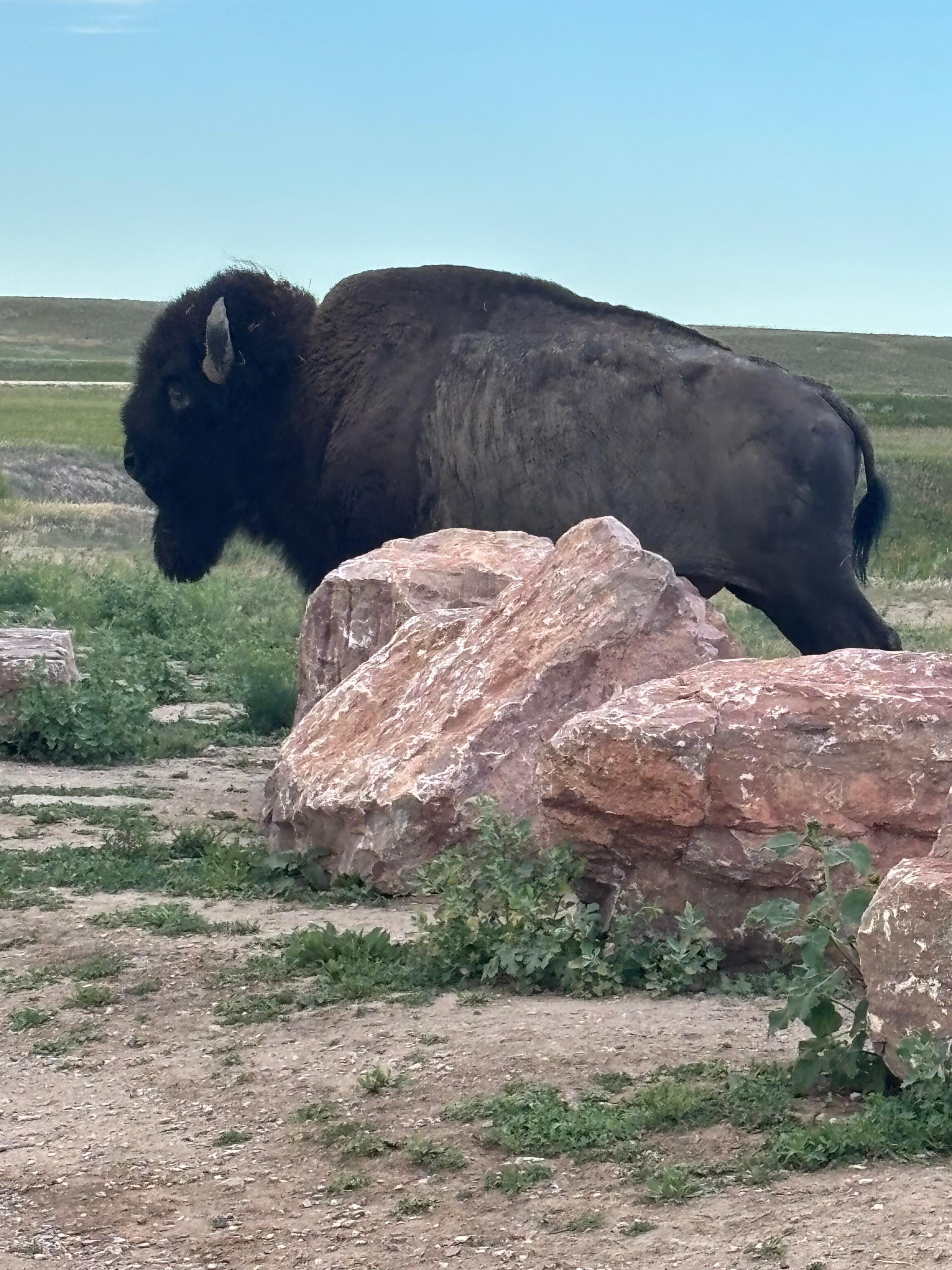 Badlands