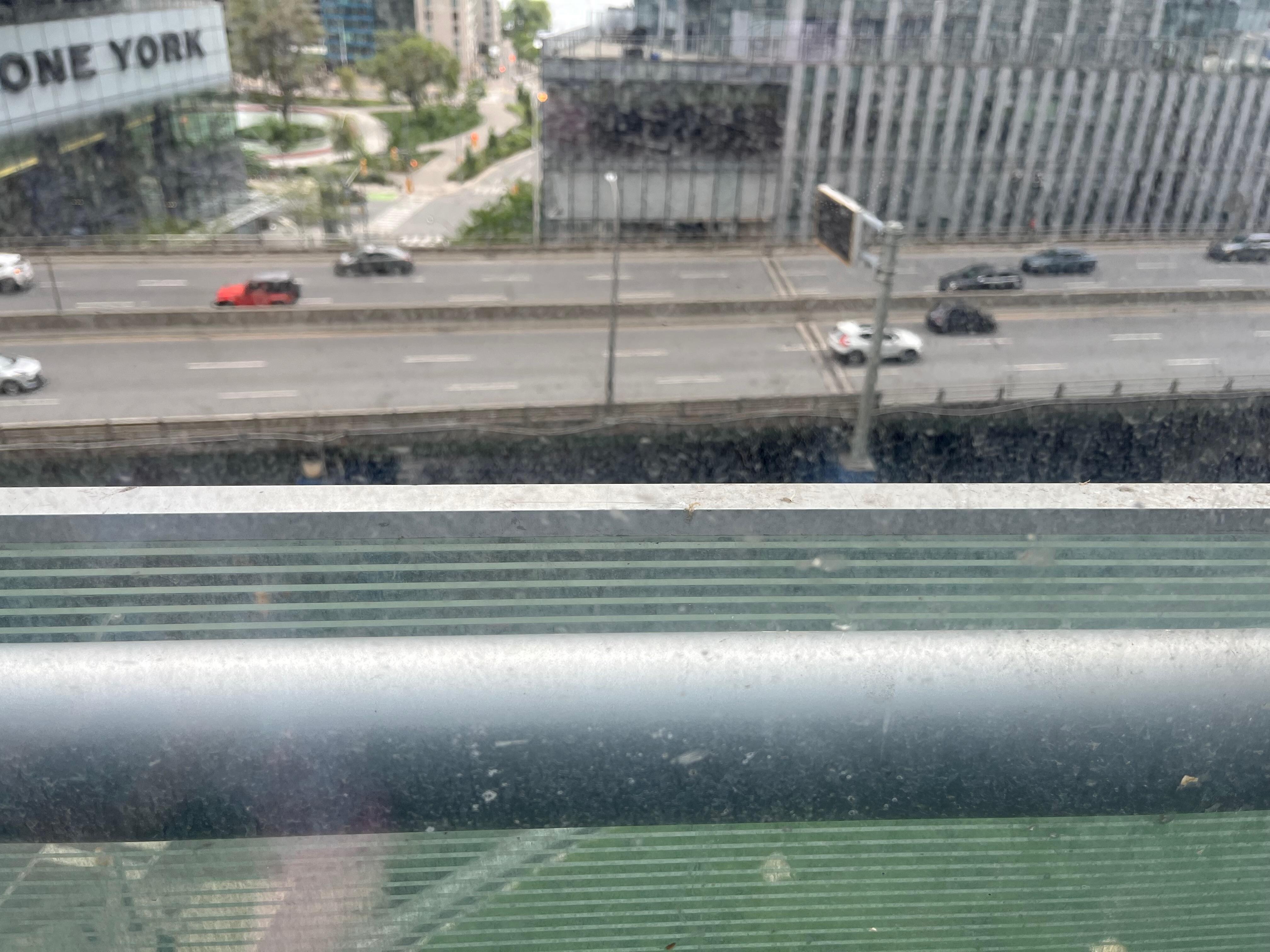 Window was so dirty you could barely see through it