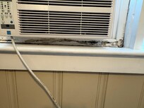 Mold around AC unit