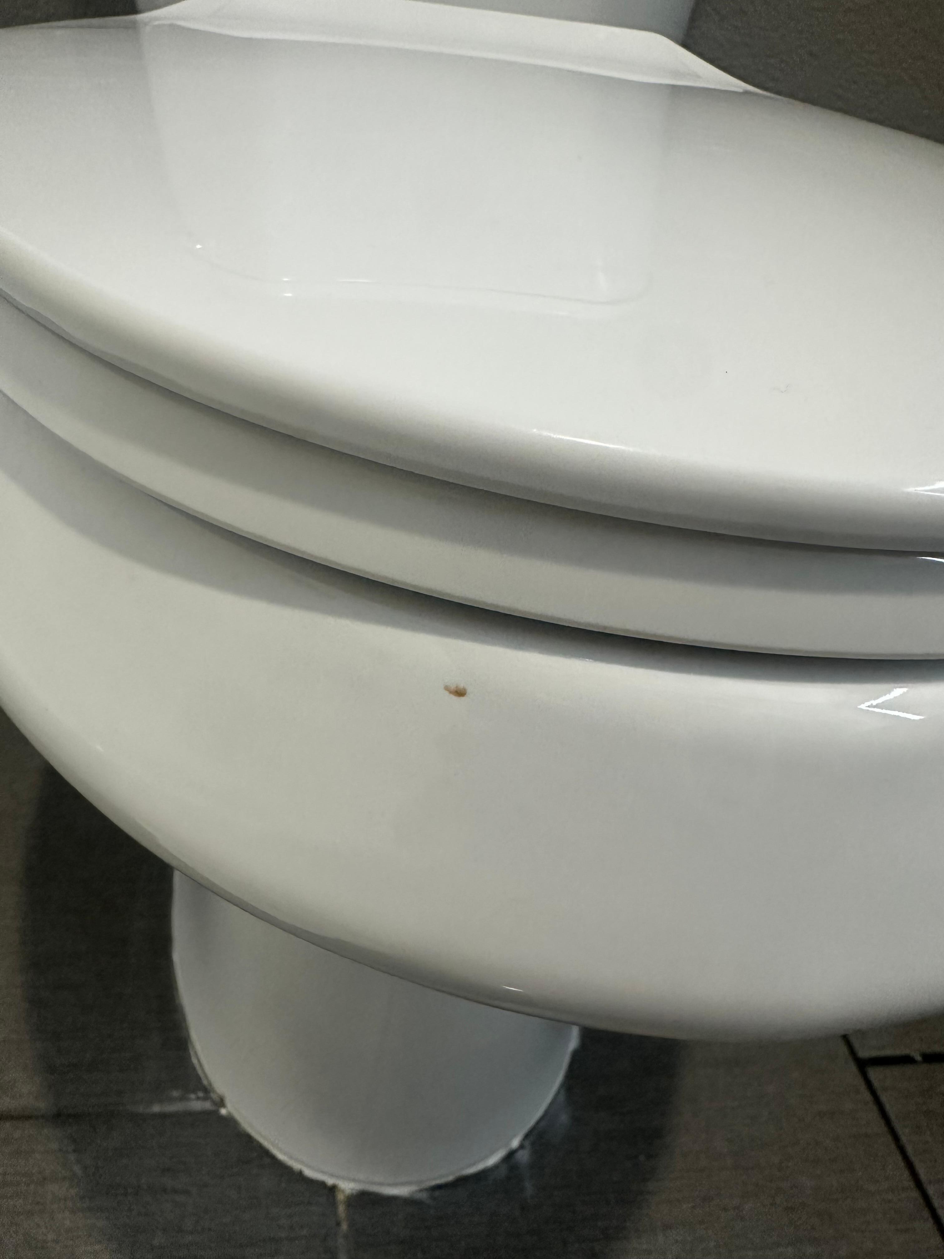 Poop on toilet when checking in