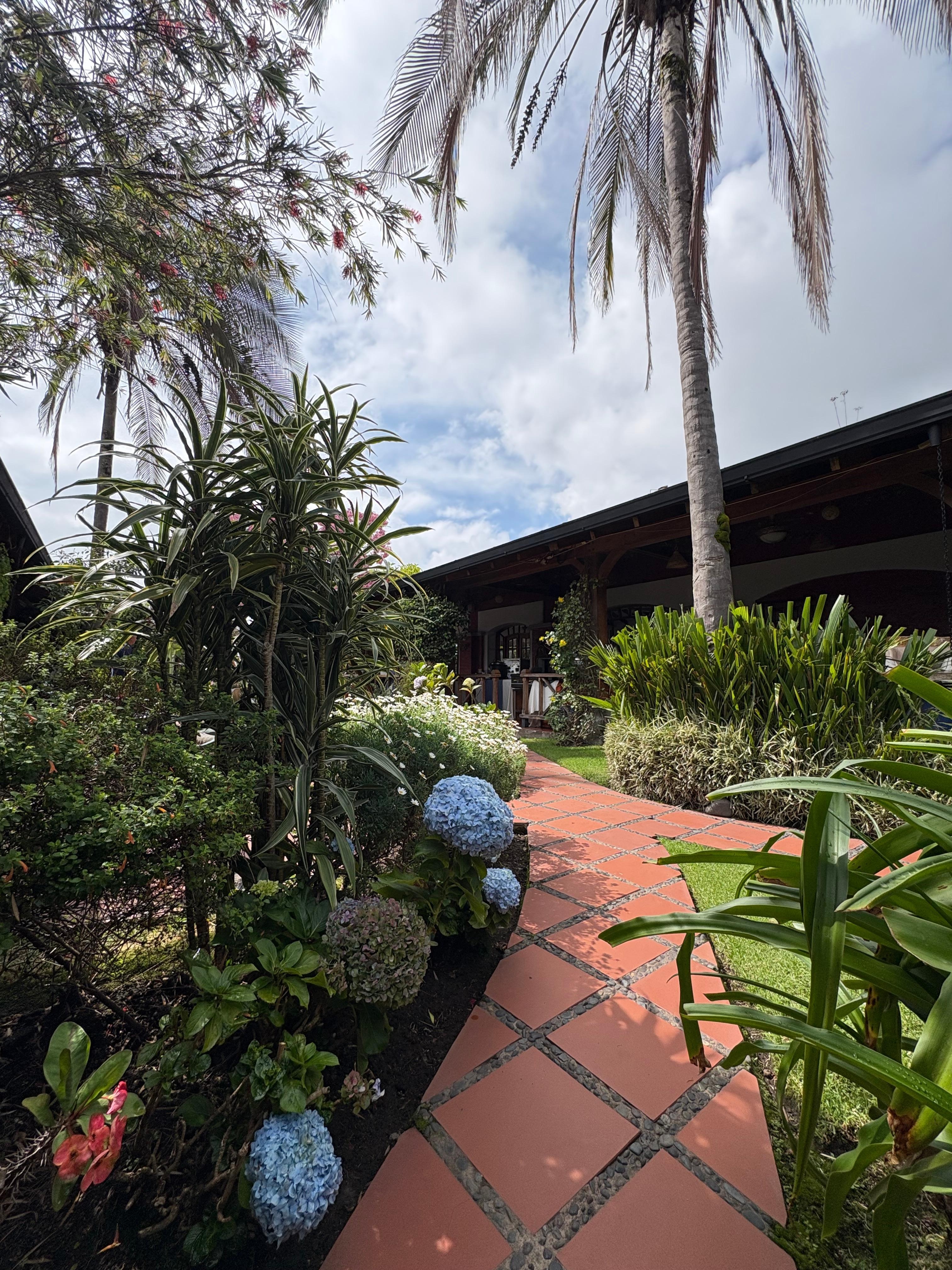 Courtyard beautiful!