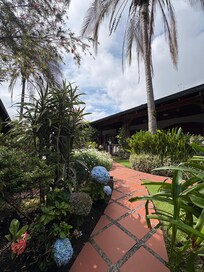 Courtyard beautiful!