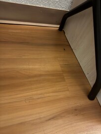 Bugs