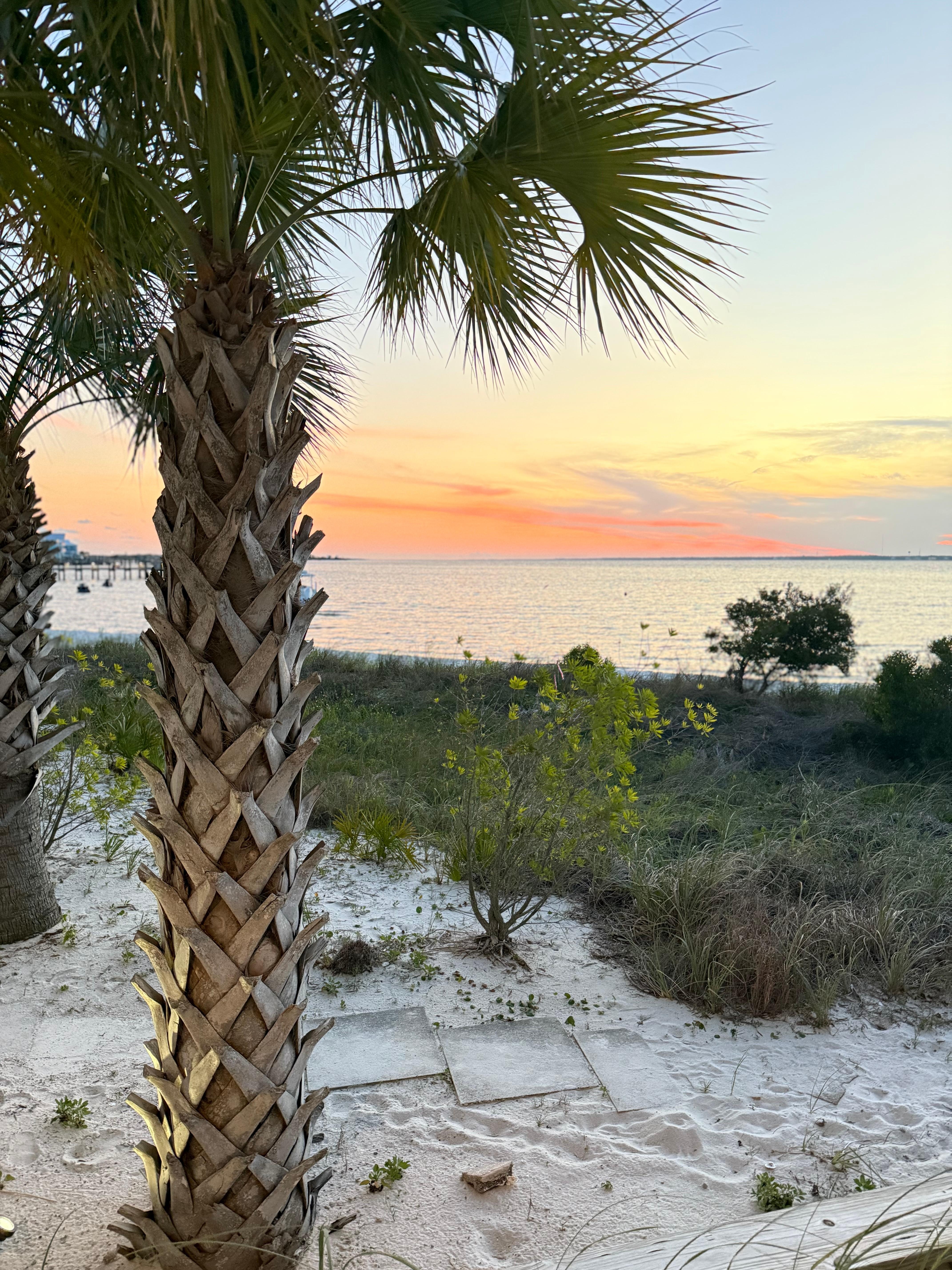 Sunsets were sensational!🌅