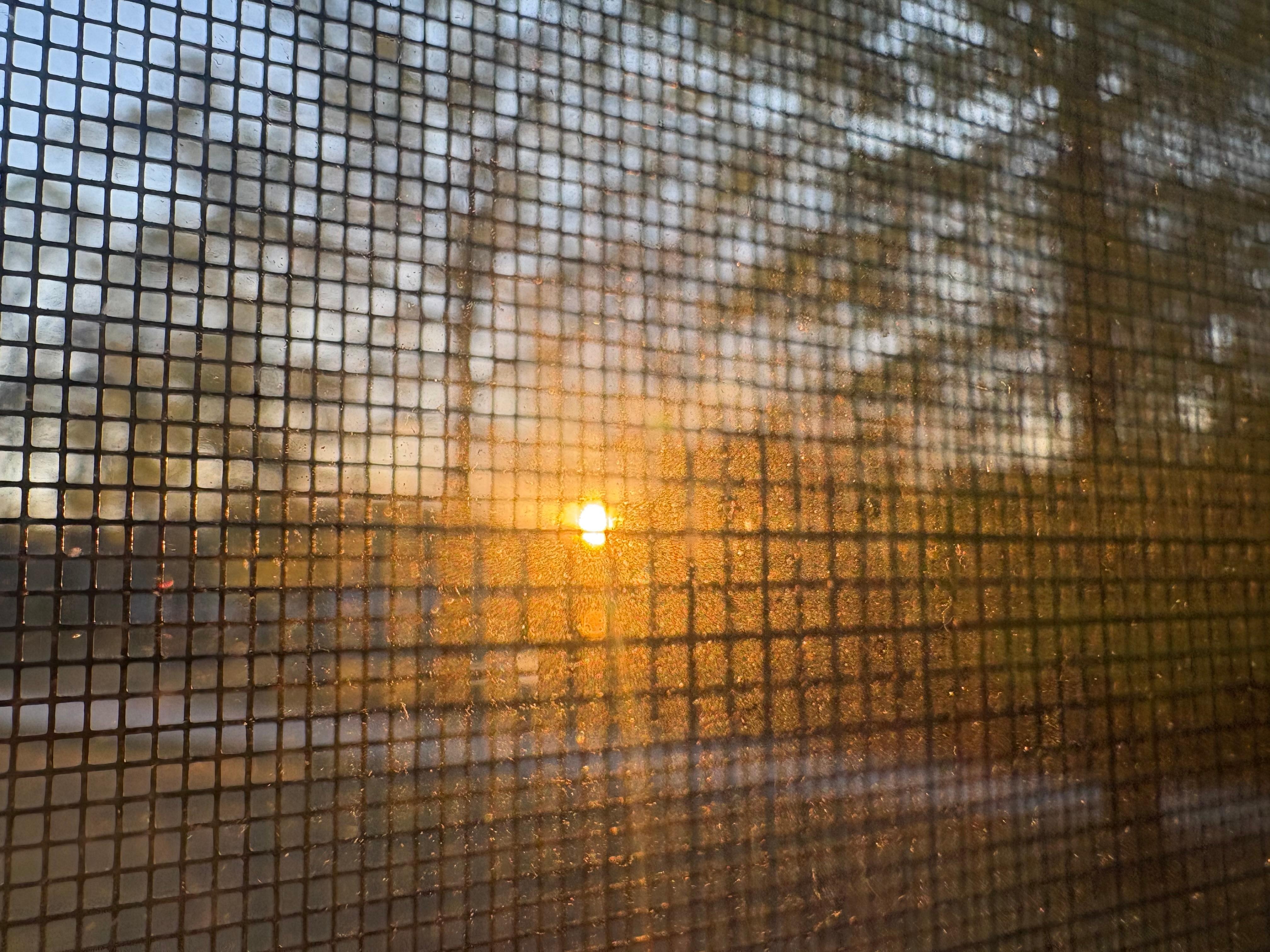Sunrise out of my bedroom window. 