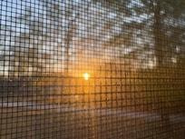 Sunrise out of my bedroom window.