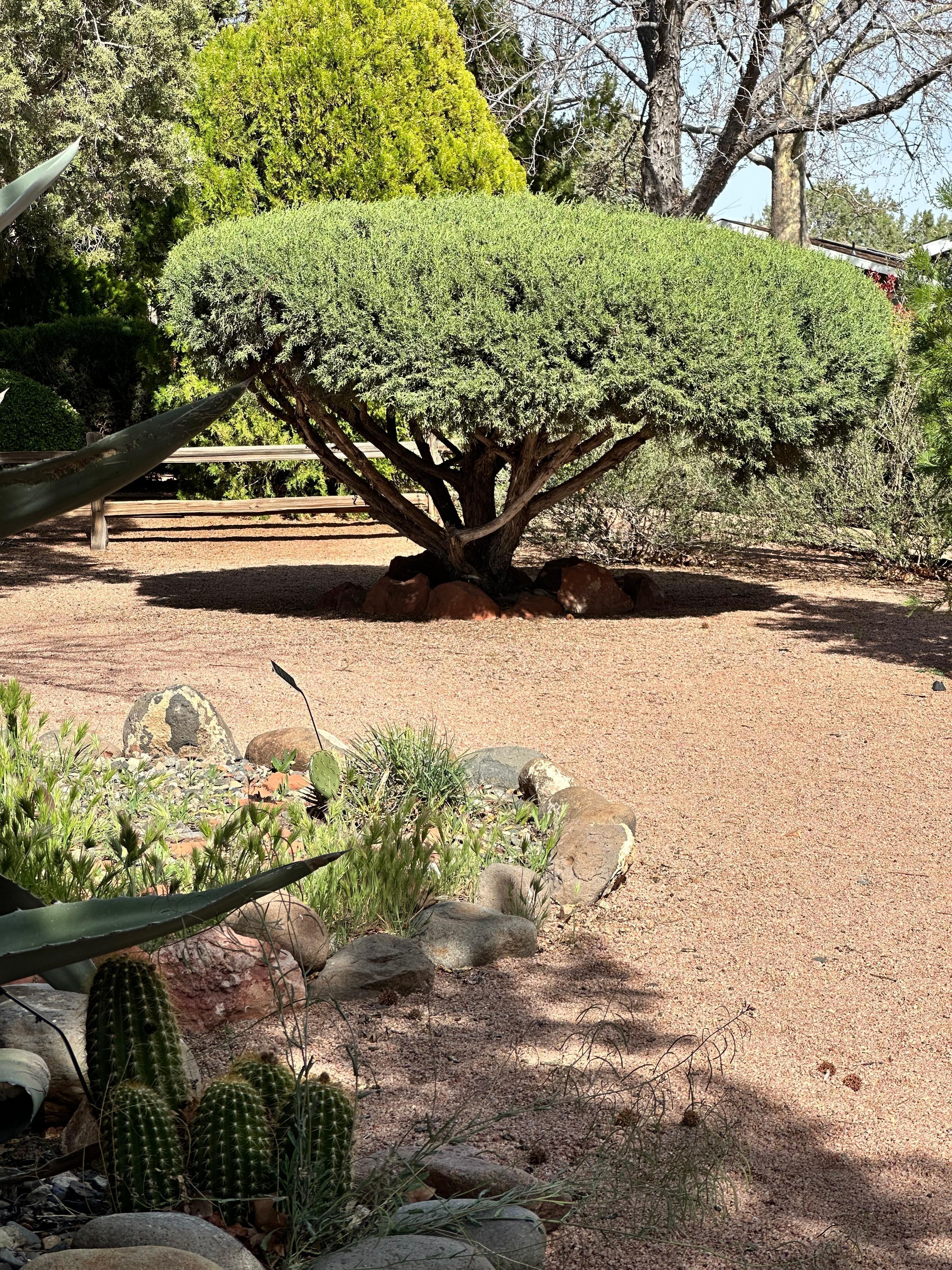 Part of one of the gardens .