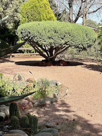 Part of one of the gardens .