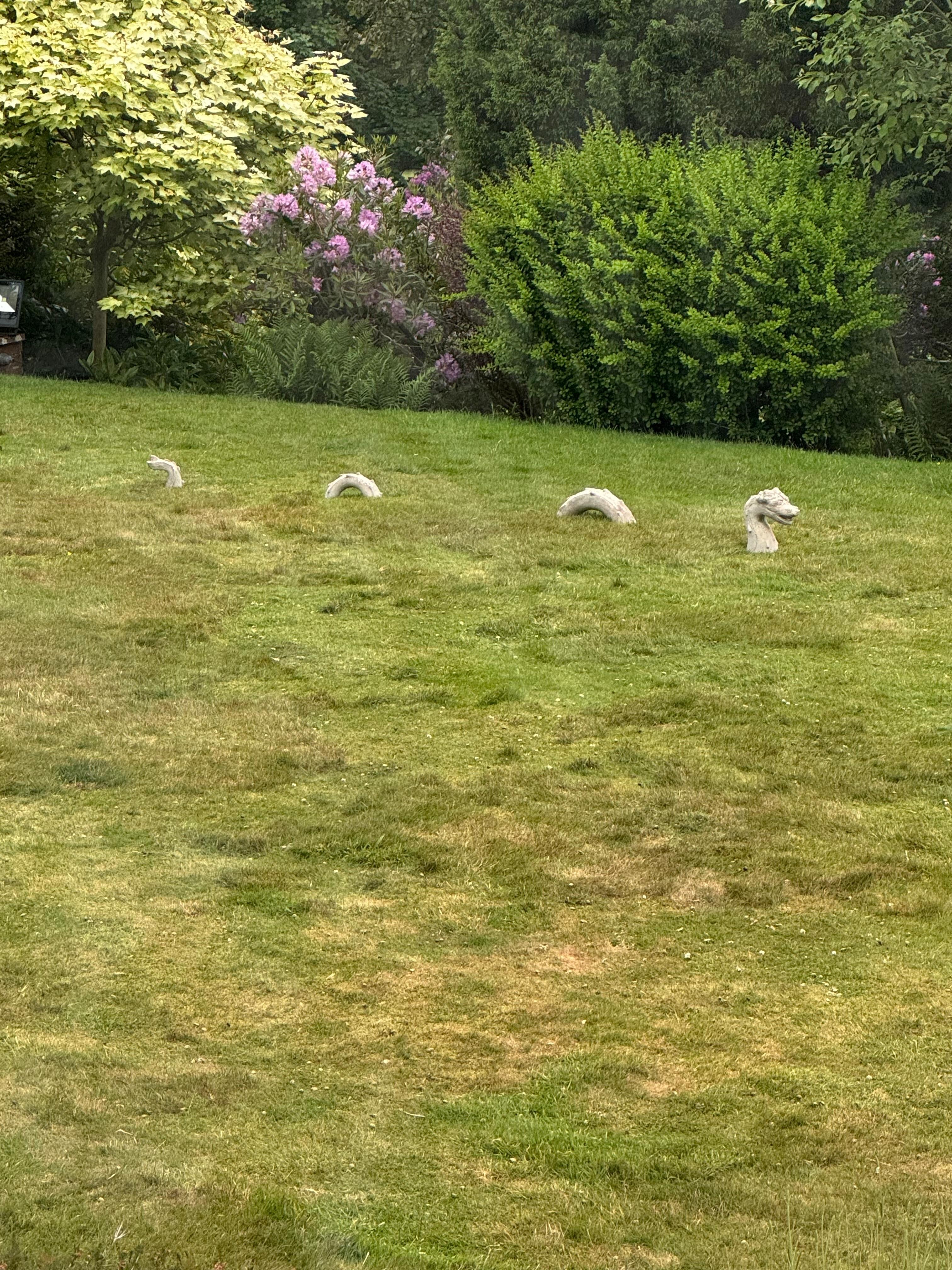 The garden