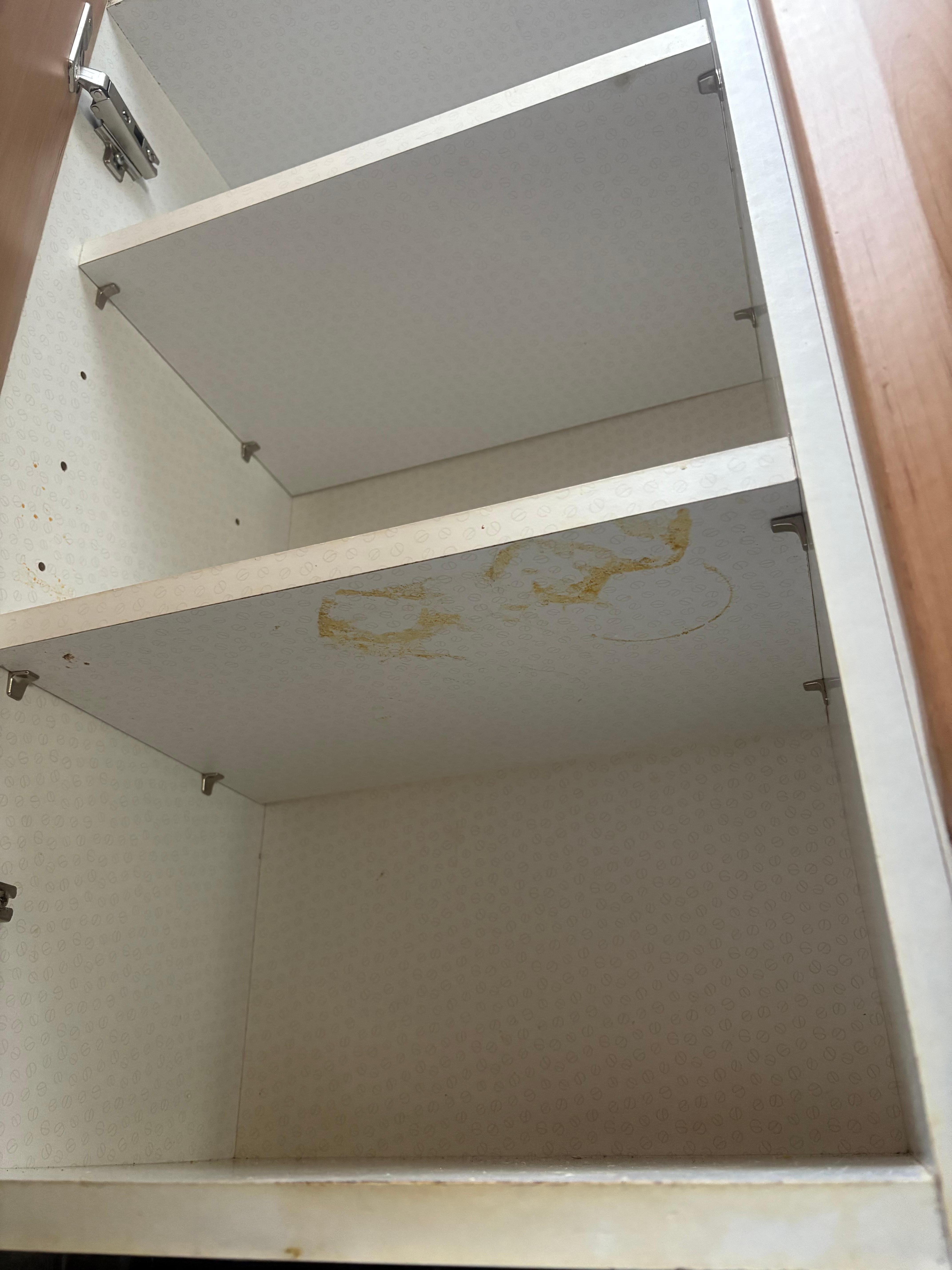 Counters and cupboards not wiped down and oily