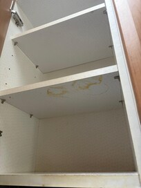 Counters and cupboards not wiped down and oily