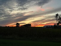 Sunsets!