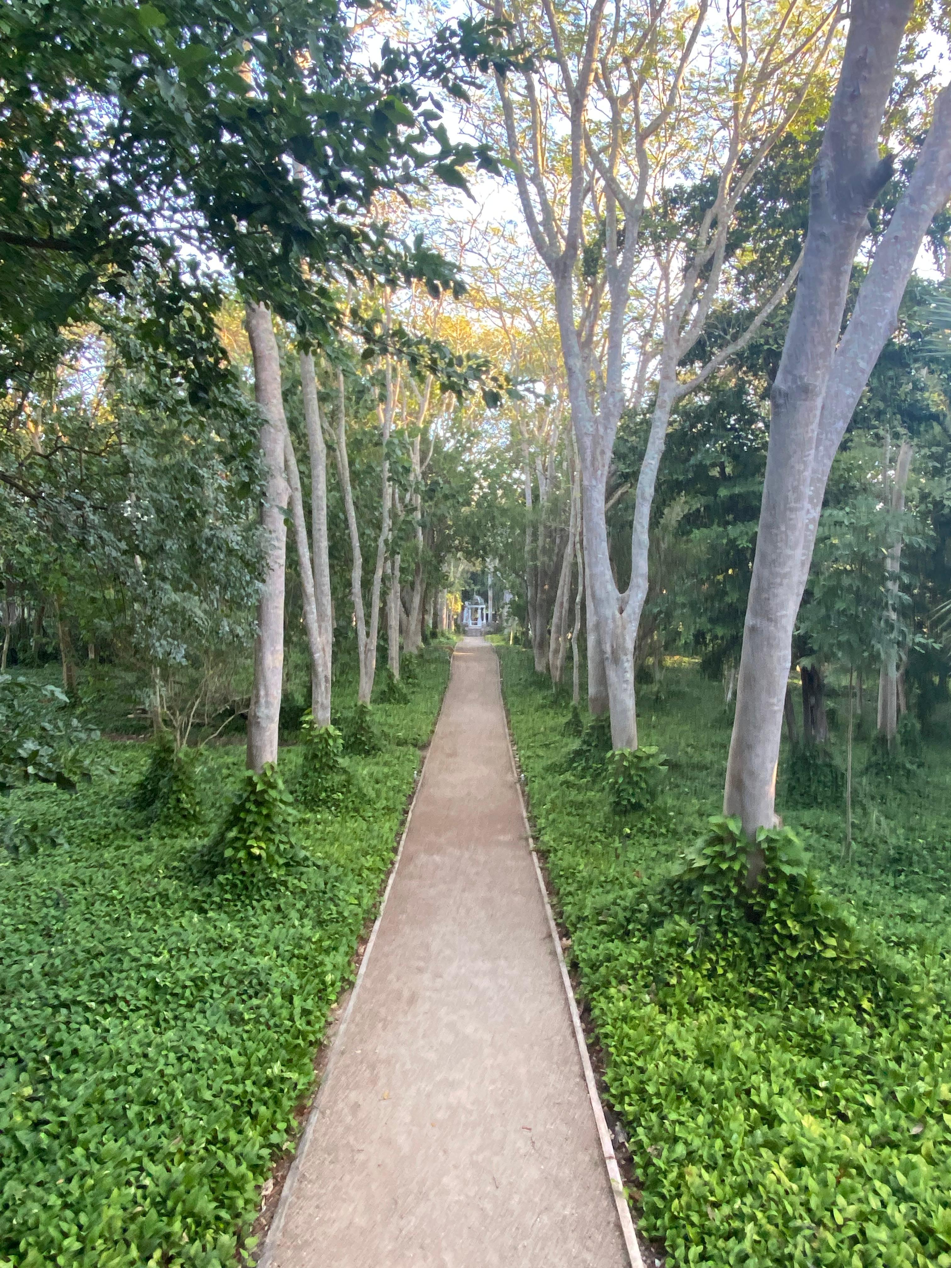 Walking through the gardens. 