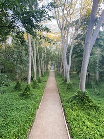 Walking through the gardens.