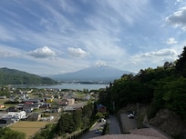 Views from room