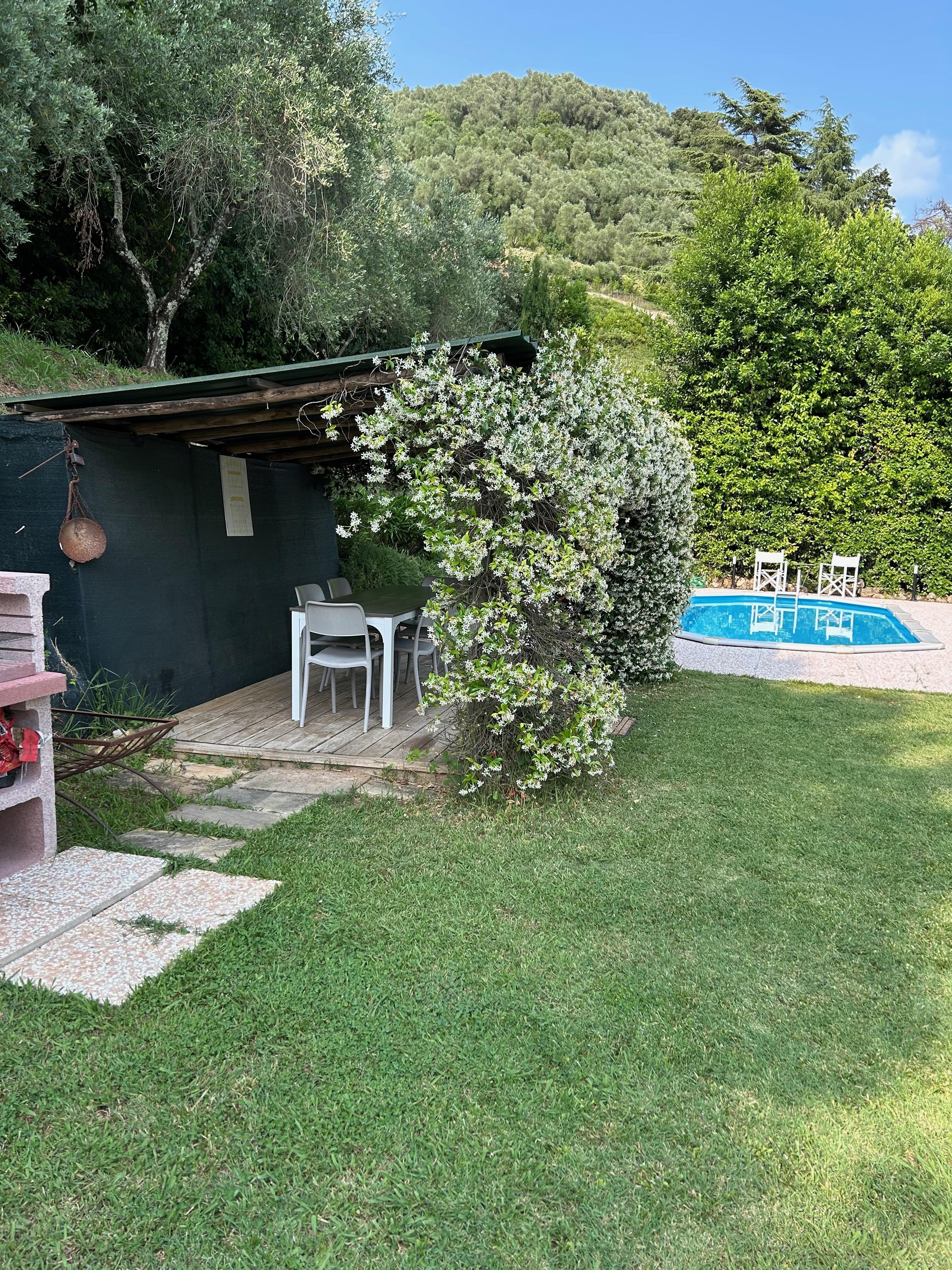View of the pergola and pool