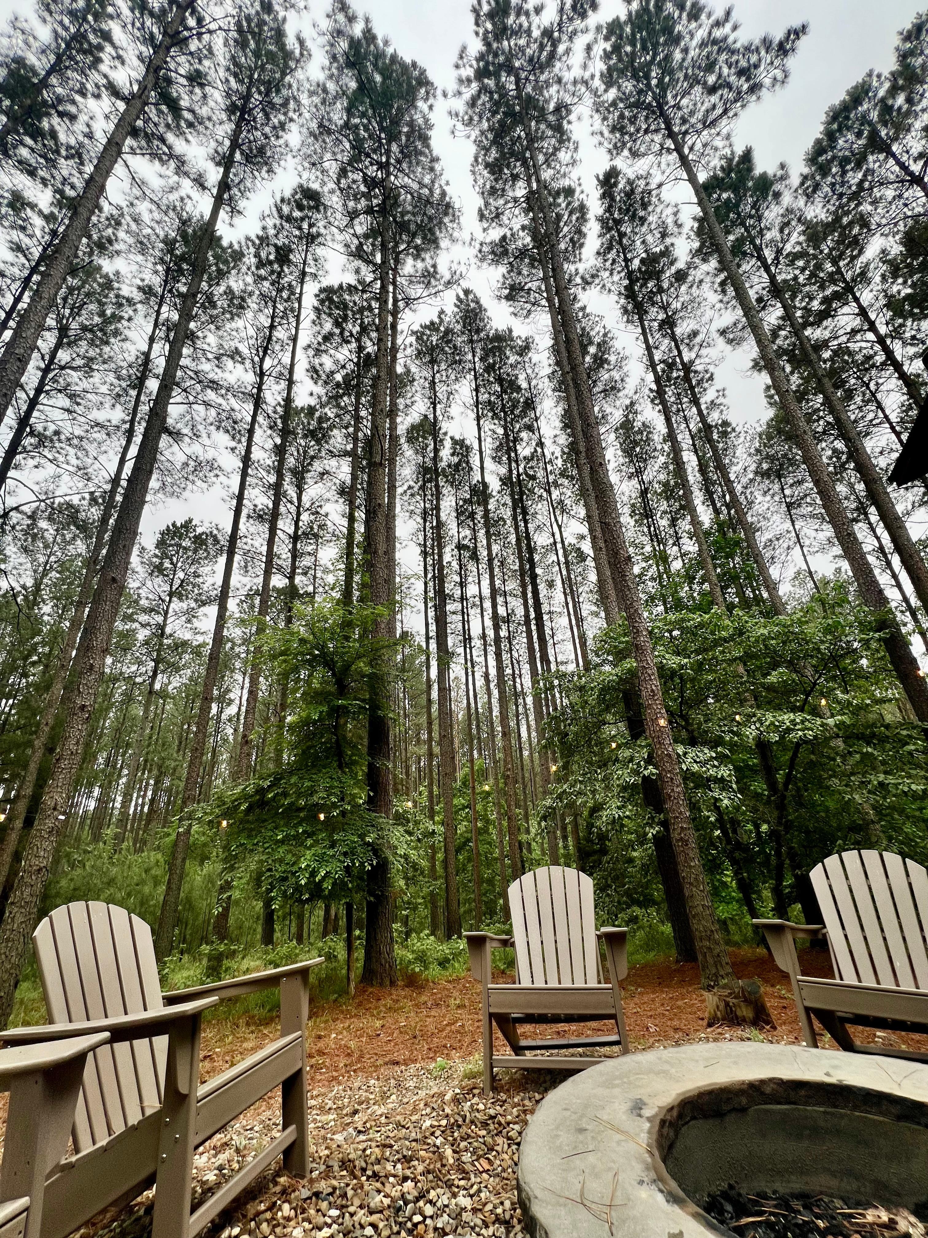 Fire pit behind the house 