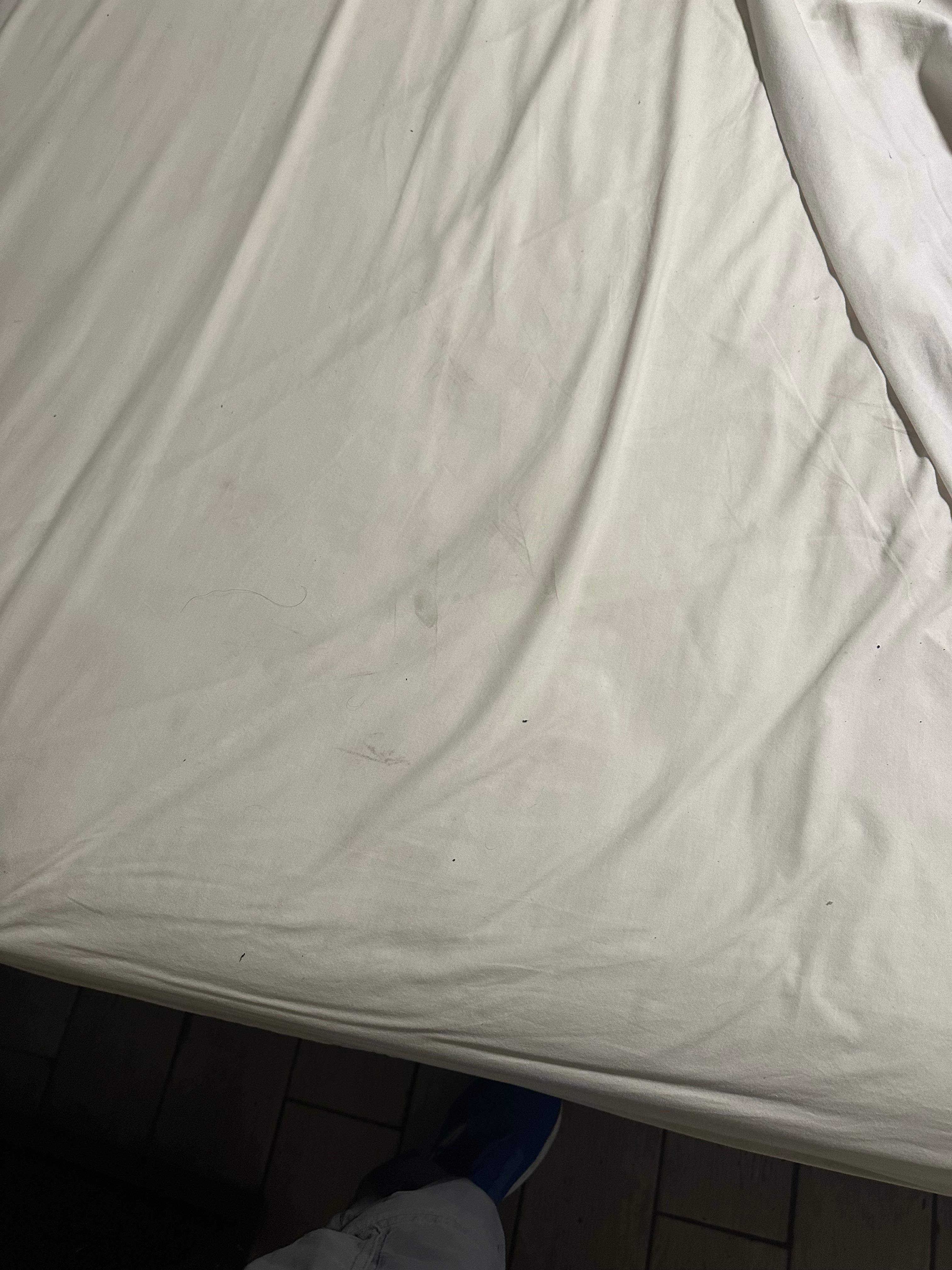 Stained possibly not ever cleaned sheets