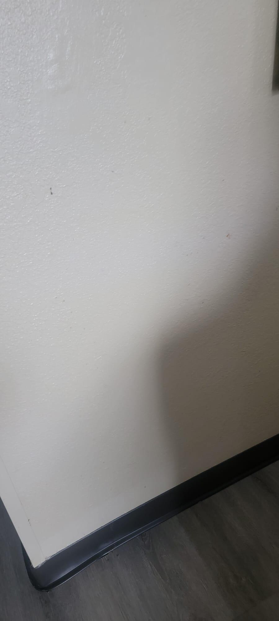 Who knows what on the walls