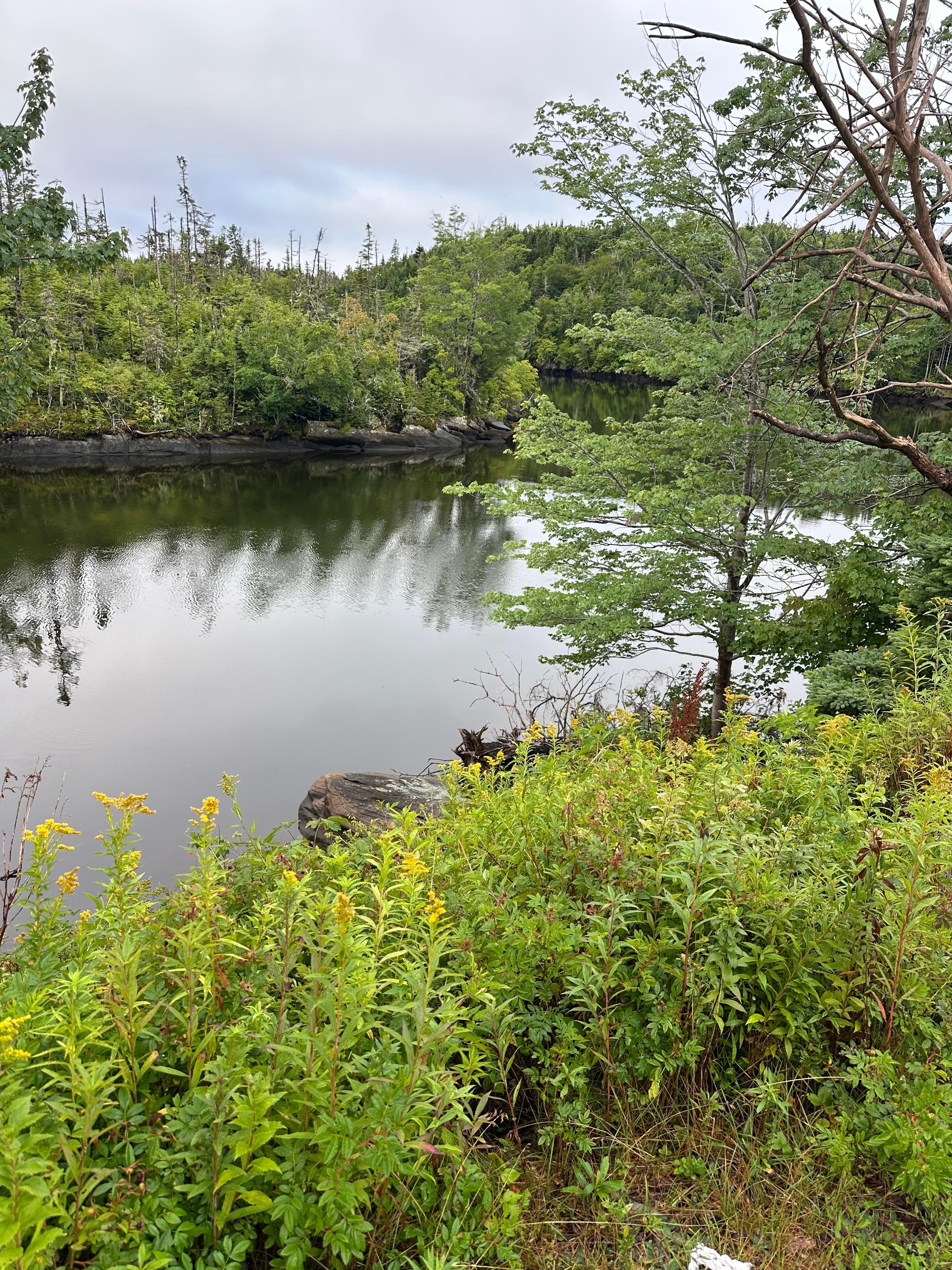 Lovely view from our hotel room balcony.